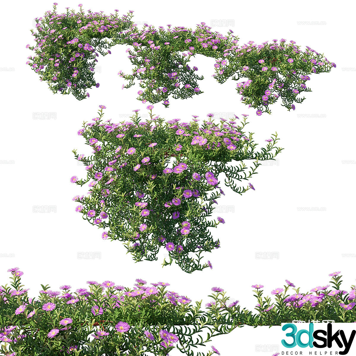 sunflower green plant flowers 3d model