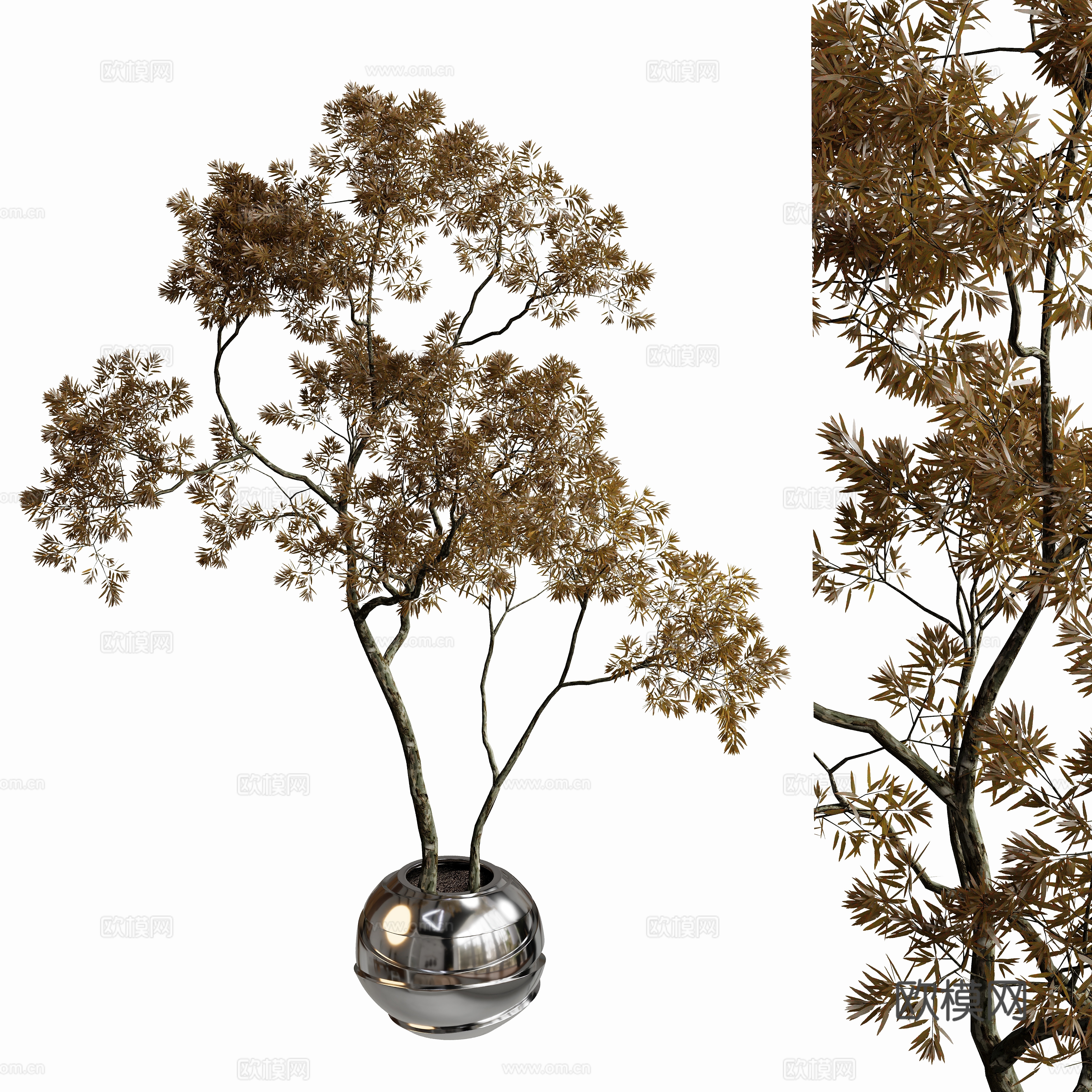 Modern dead branch potted plant autumn leaves yellow leaves 3D model