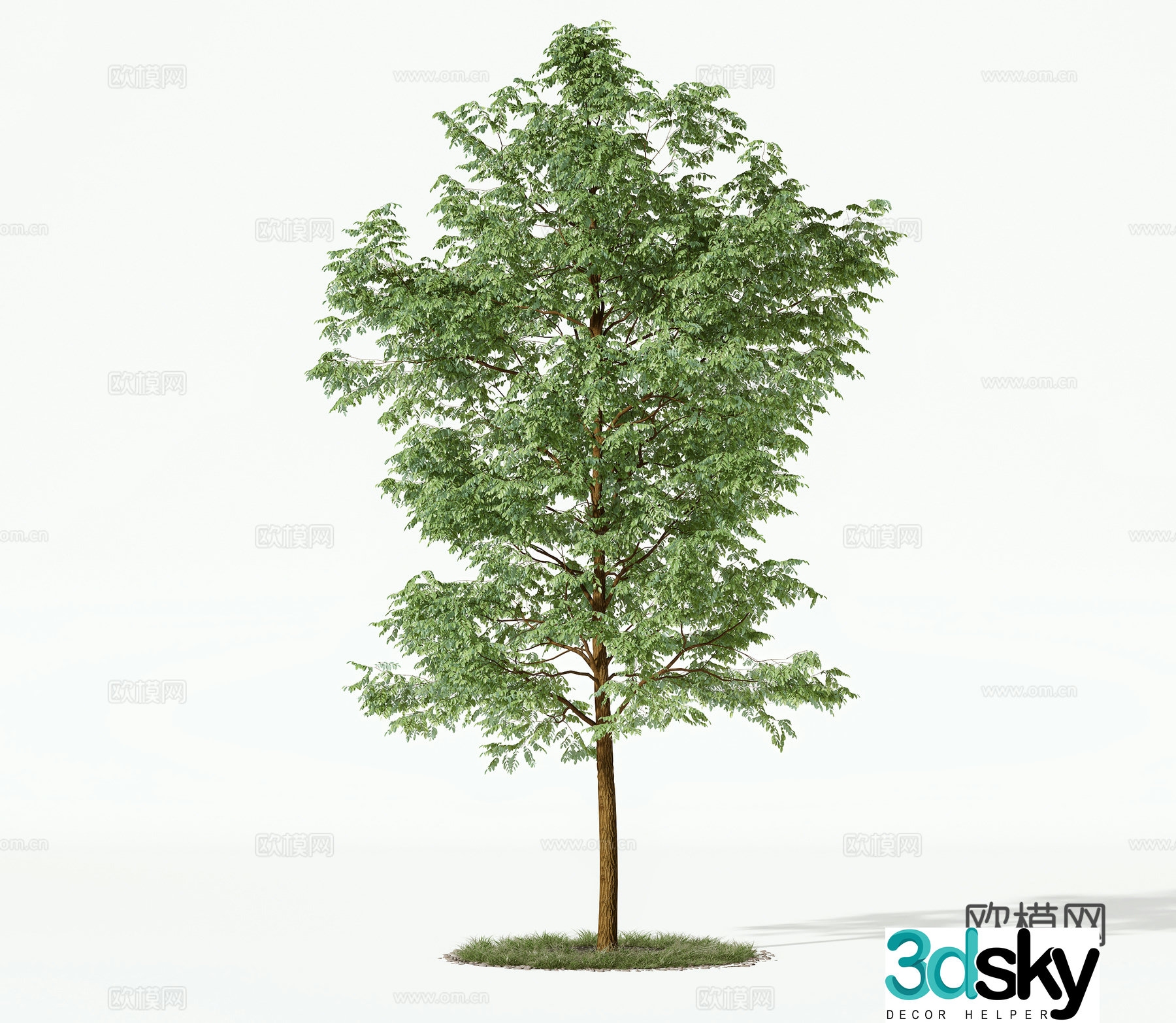 Modern trees landscape tree 3d model