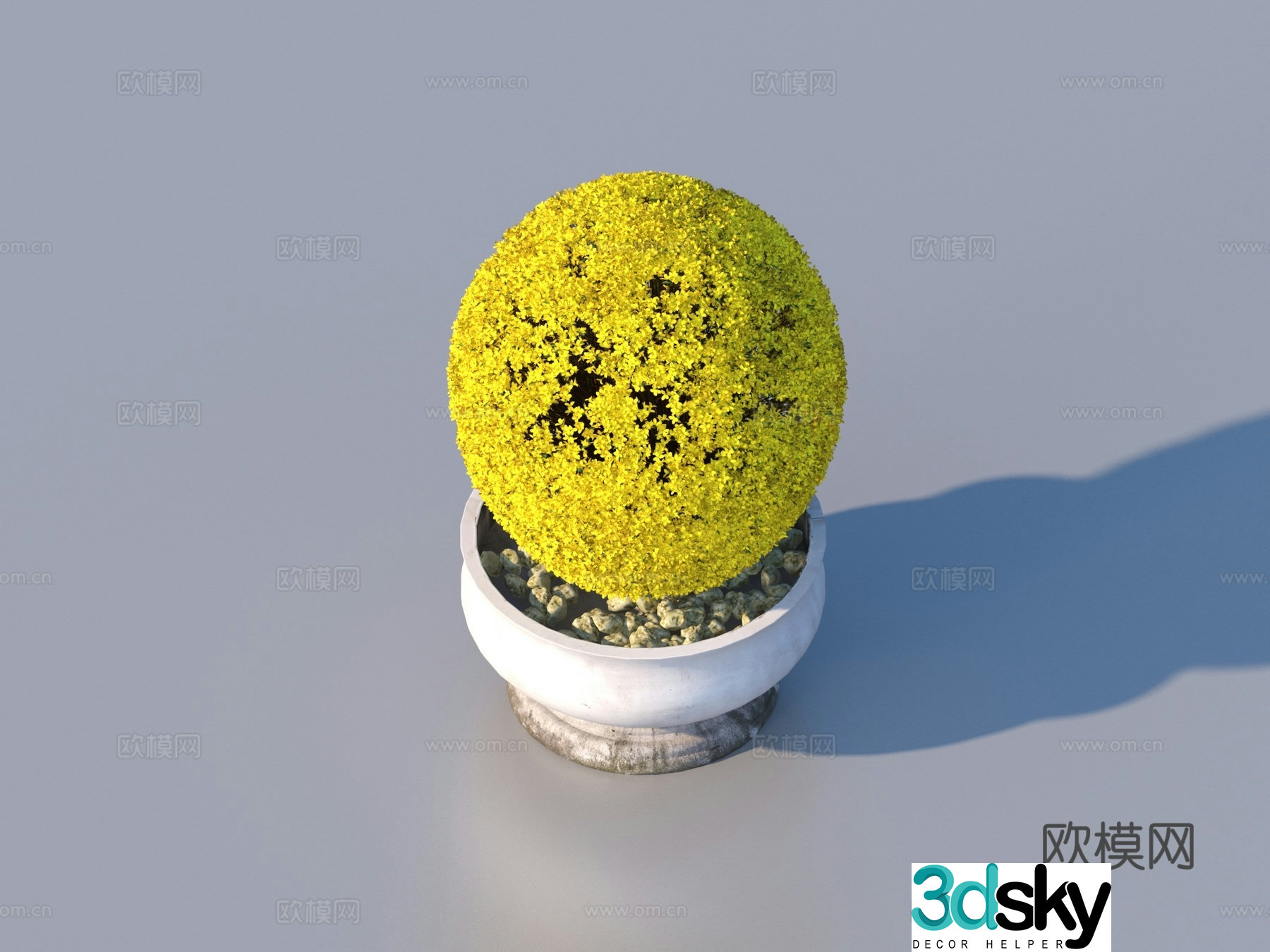 flower pot bonsai green plant plant 3d model
