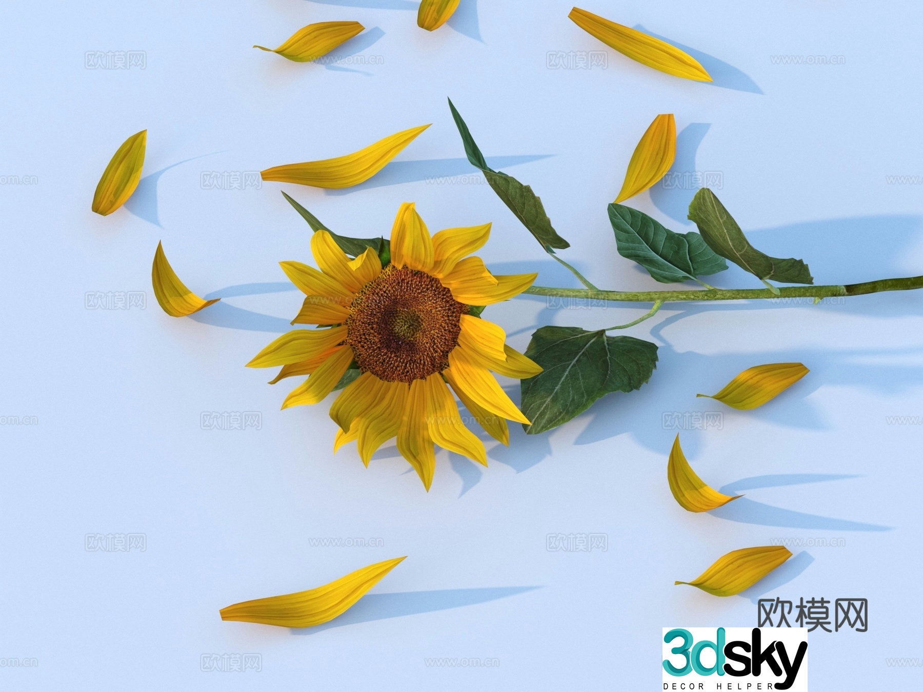 sunflower petals flower 3d model