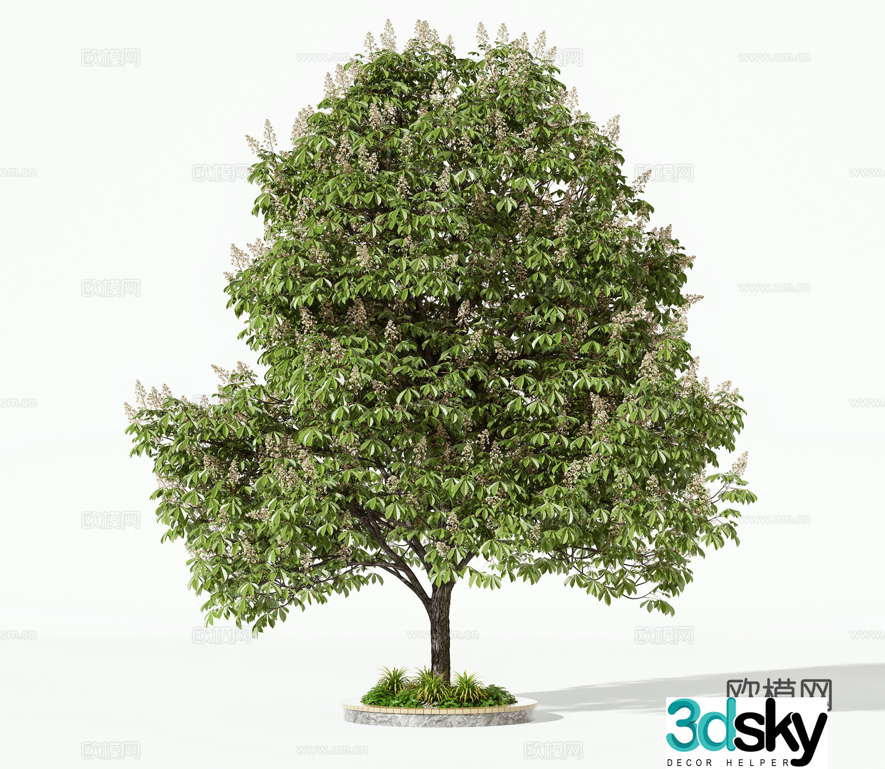 Modern trees landscape tree 3d model