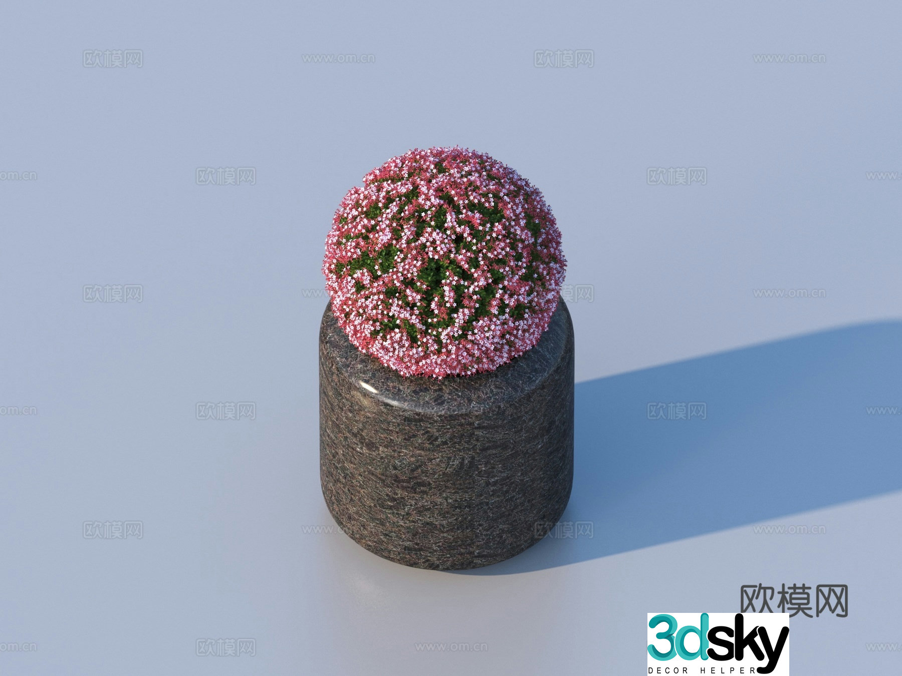flower pot bonsai green plant plant 3d model