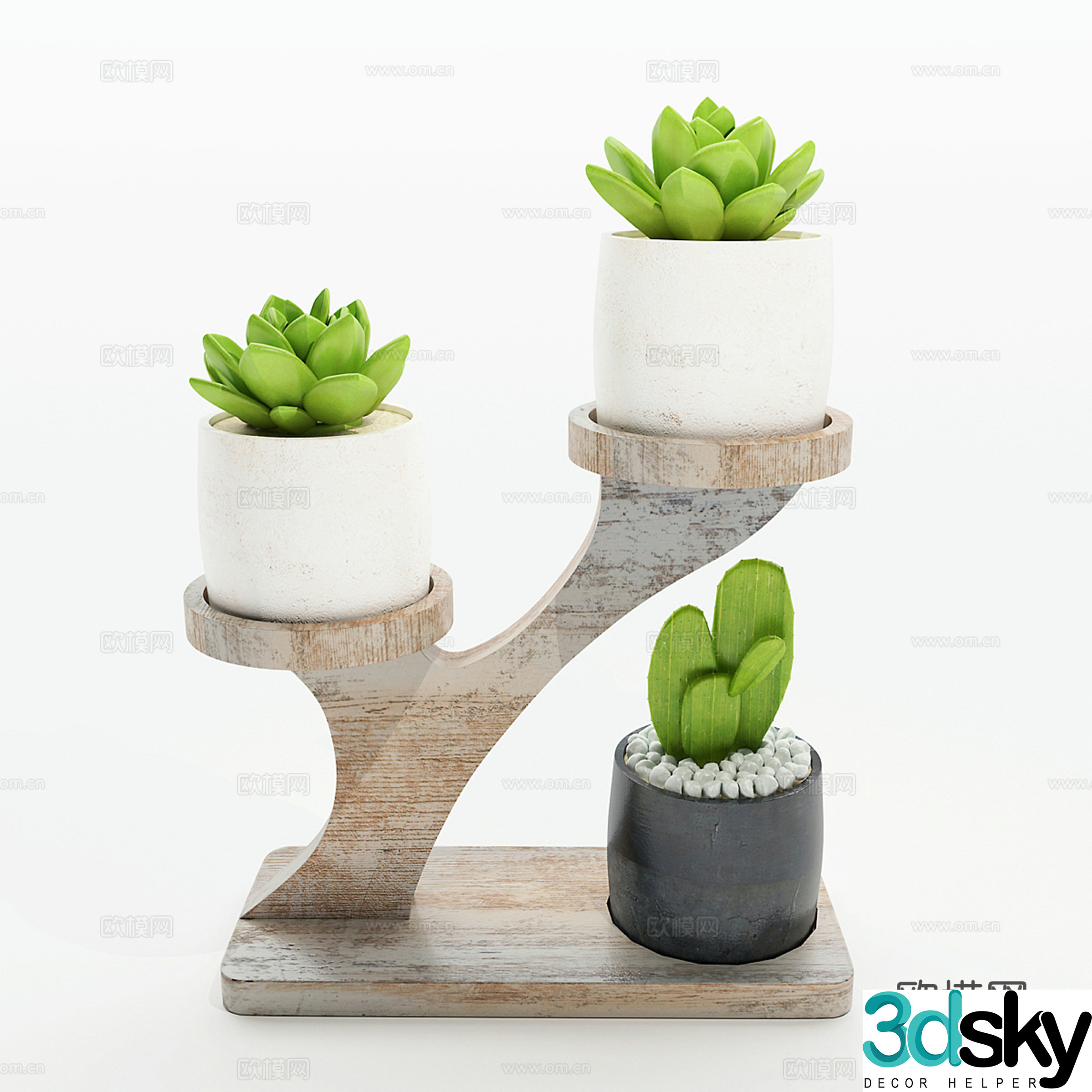Cactus potted small potted plant 3d model