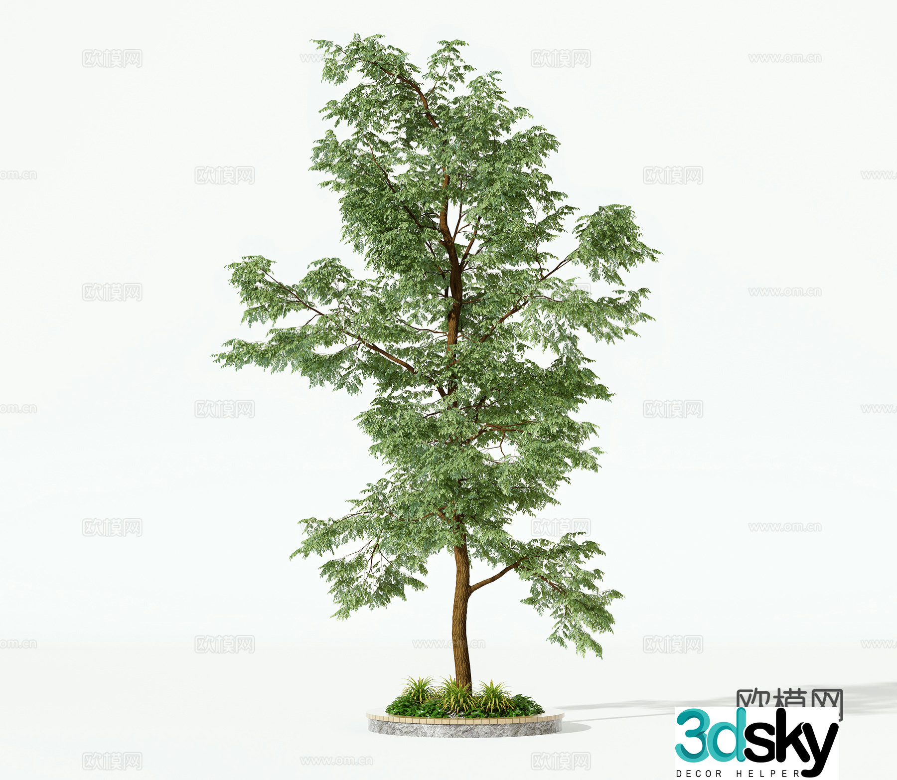 Modern trees landscape tree 3d model