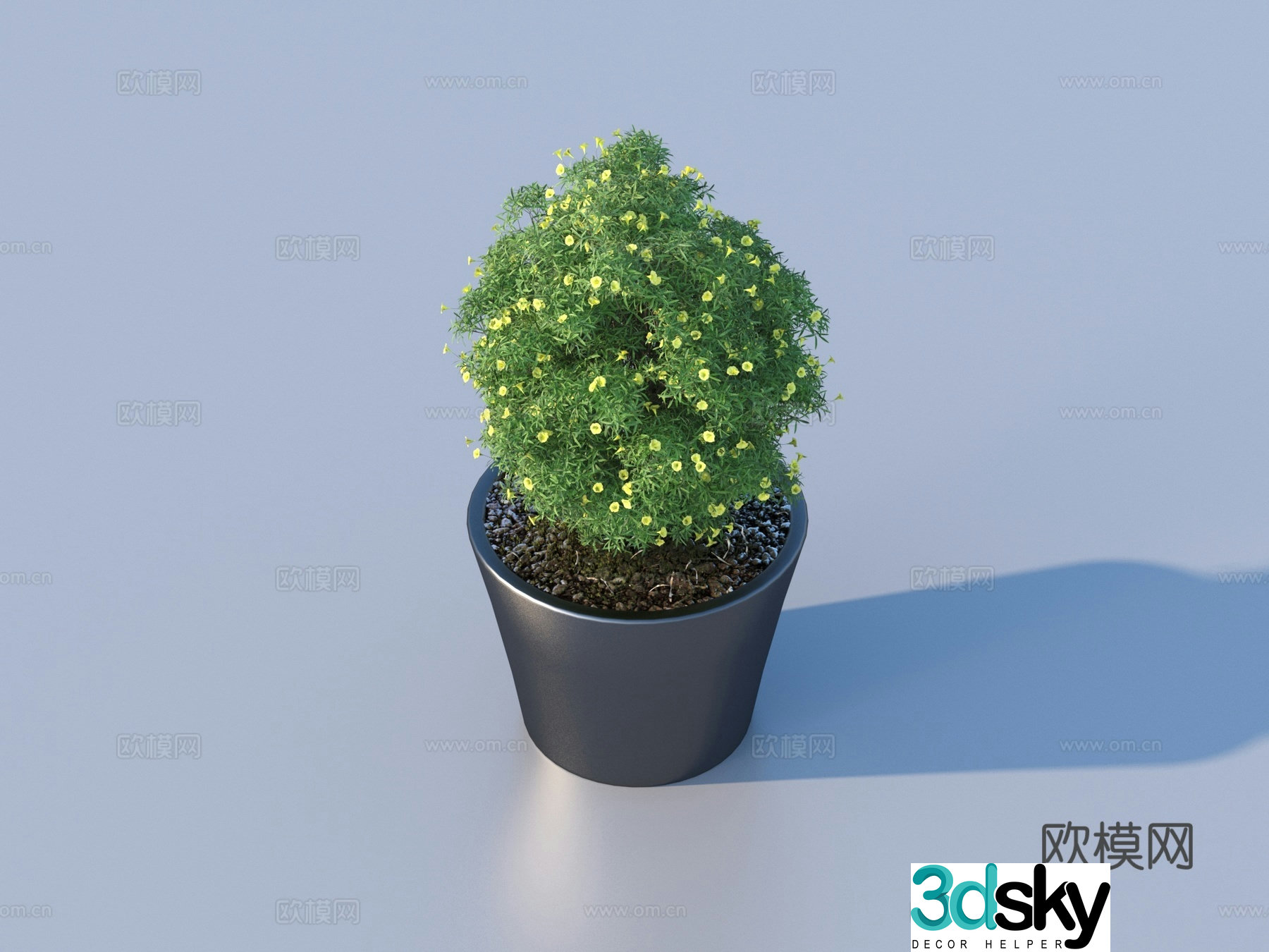 flowerpot potted plant green plant plant 3d model