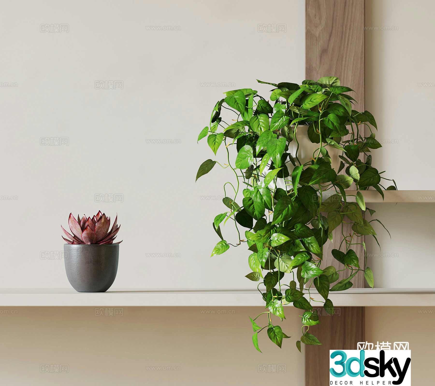 Green Plants Hanging Basket Succulent Potted Plants Pothos 3D Model