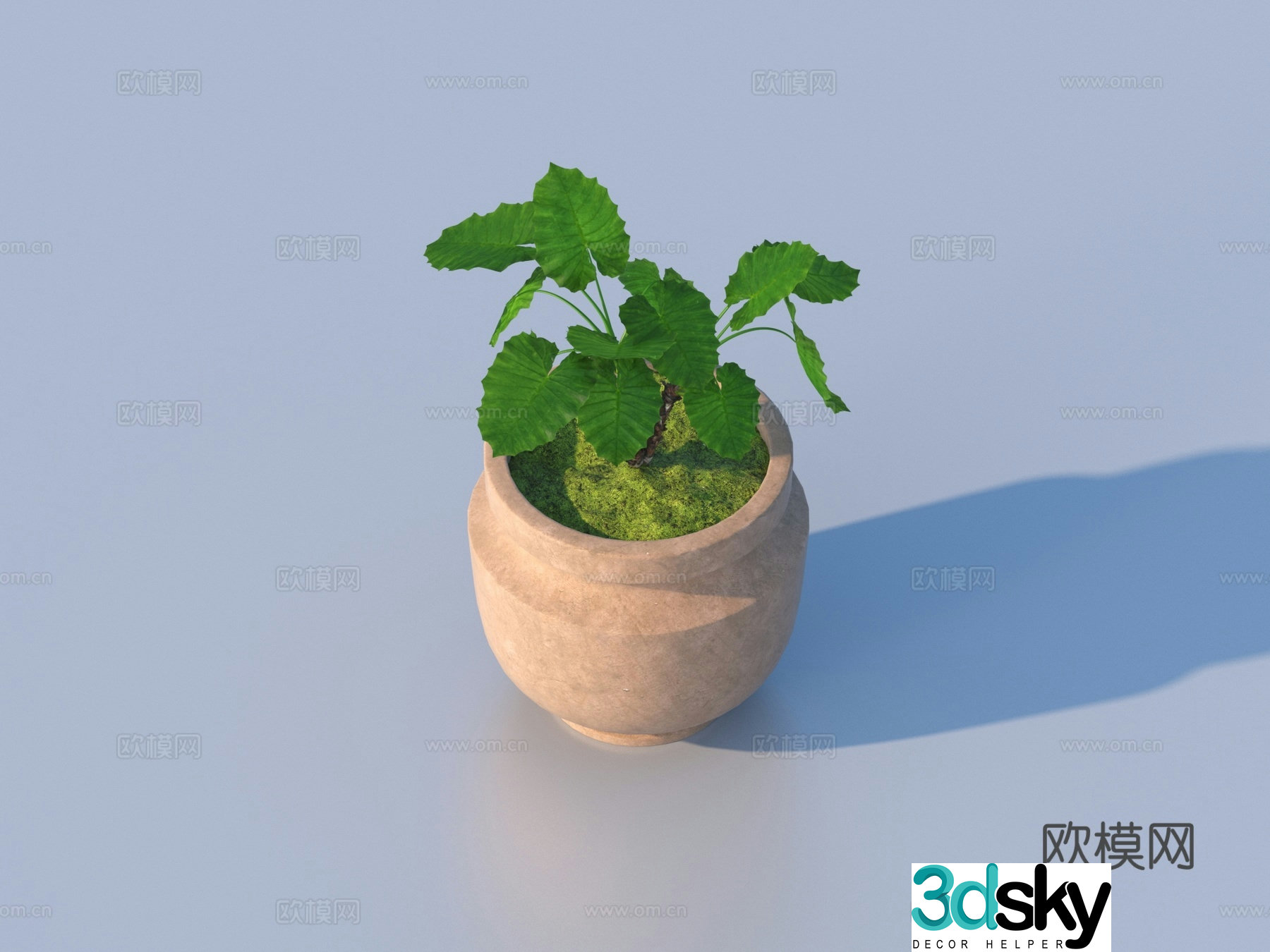 flowerpot potted plant green plant plant 3d model