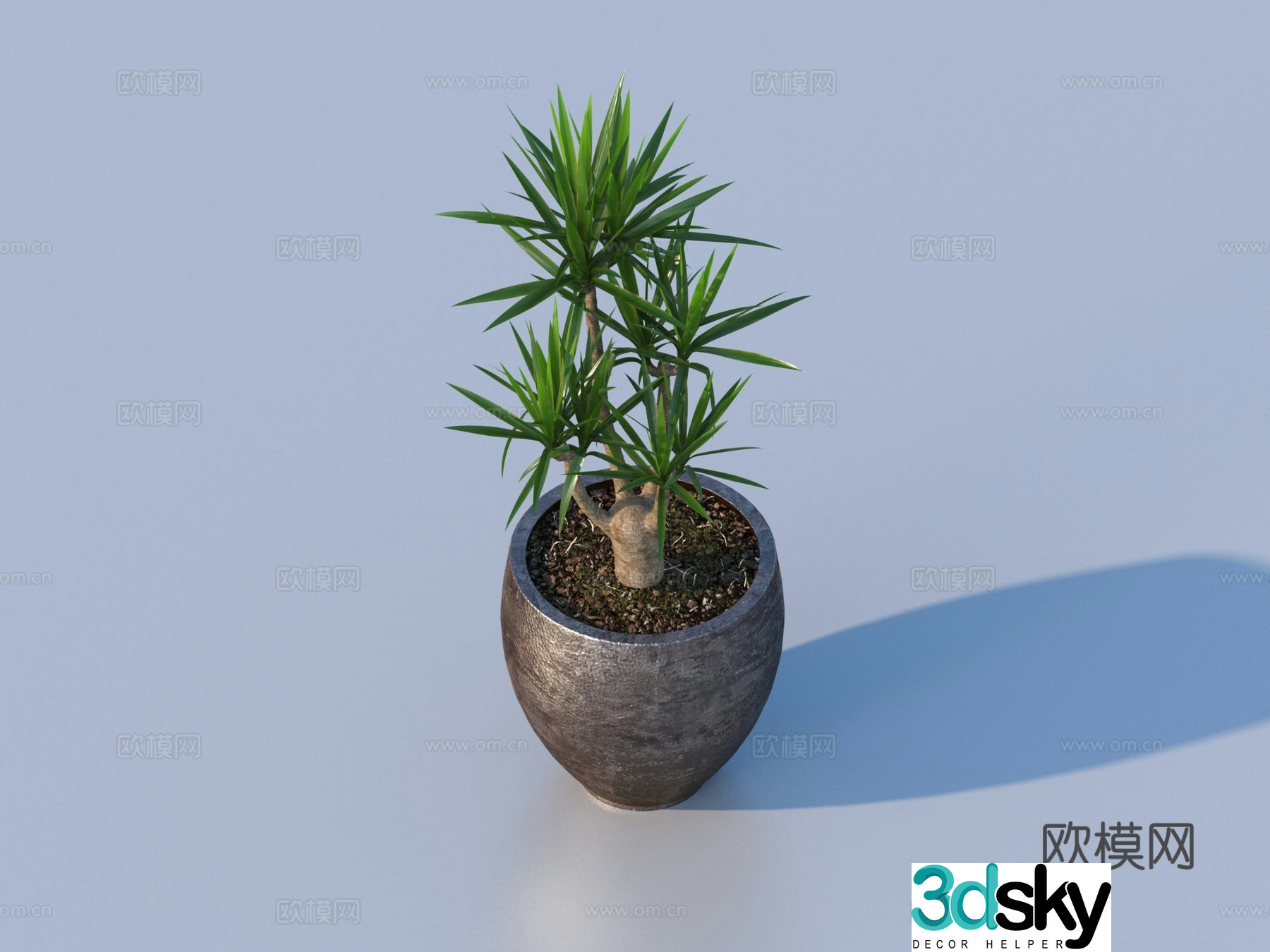 flowerpot potted plant green plant plant 3d model