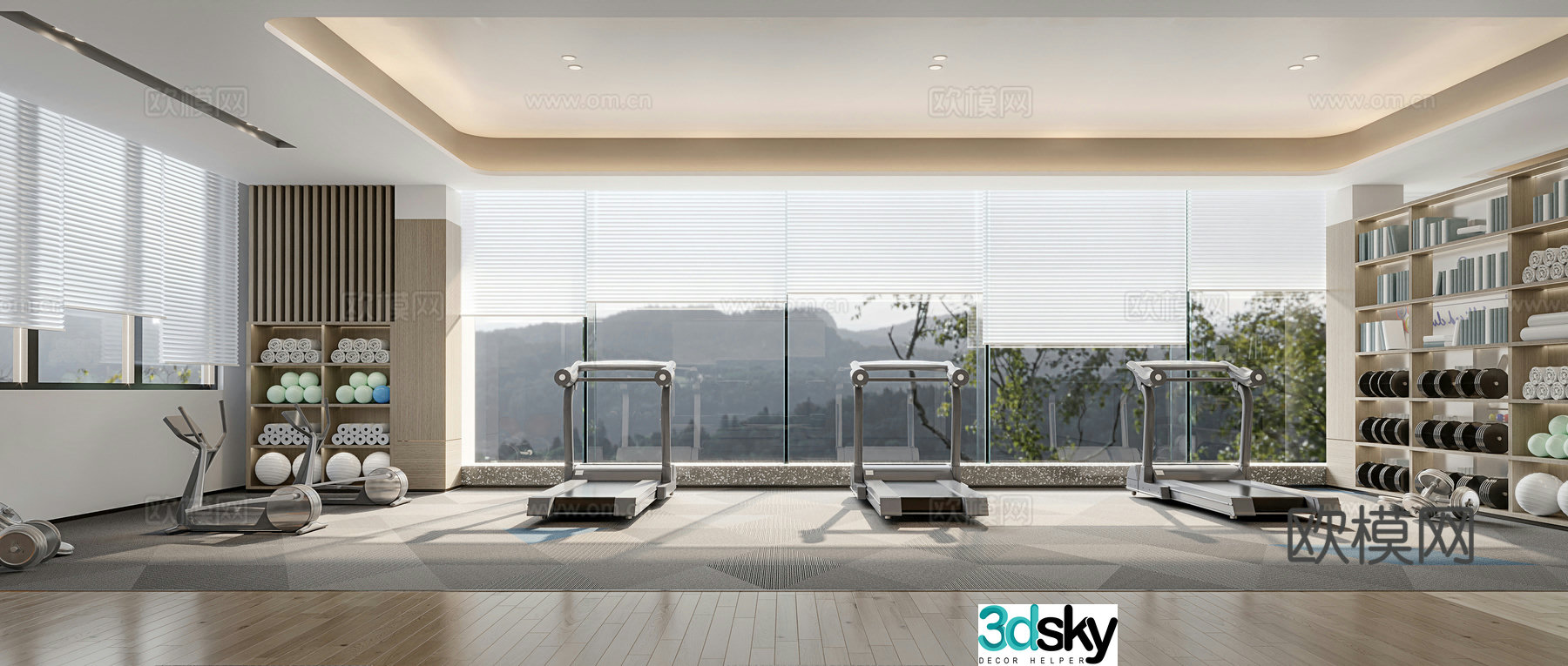 Modern gym fitness area 3d model