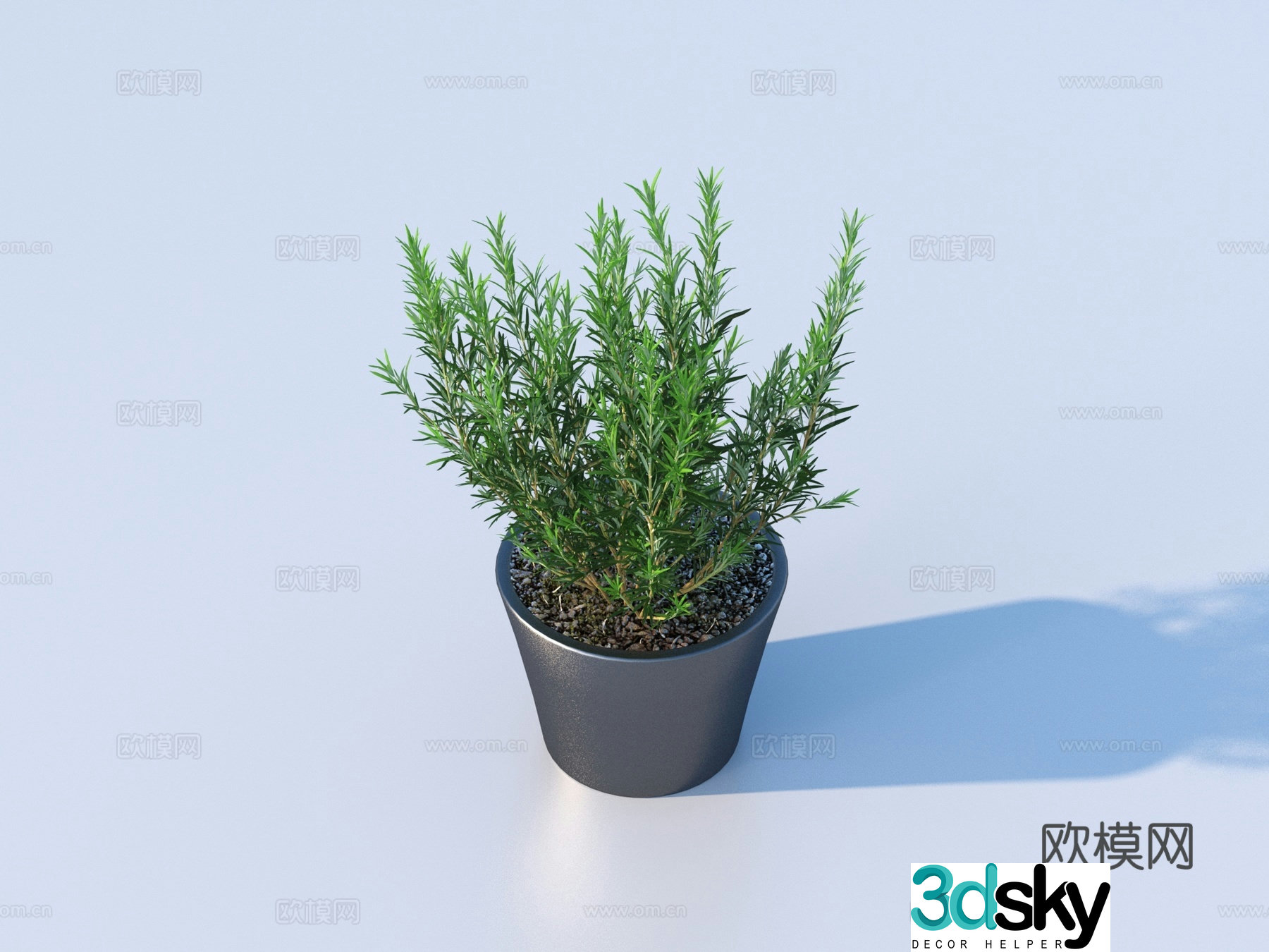 flowerpot potted plant green plant plant 3d model