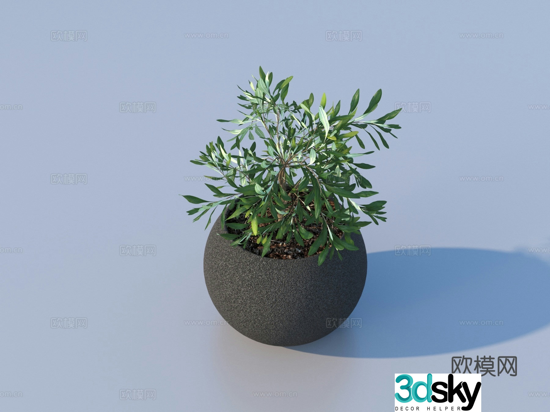 Flower pot pot green plants plant 3d model