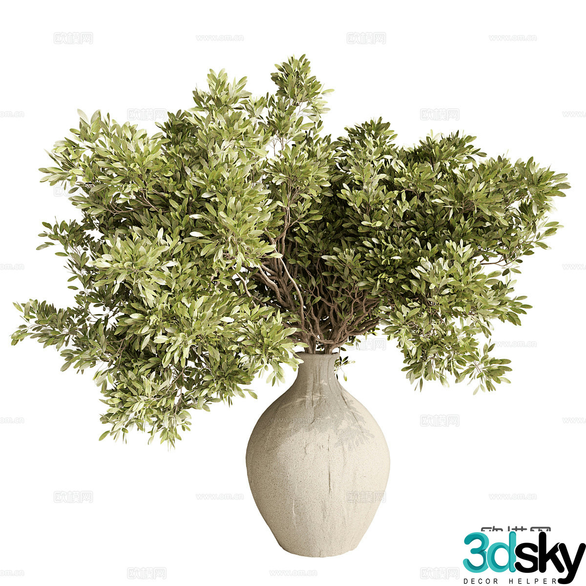Modern vase floral arrangement green plant 3d model