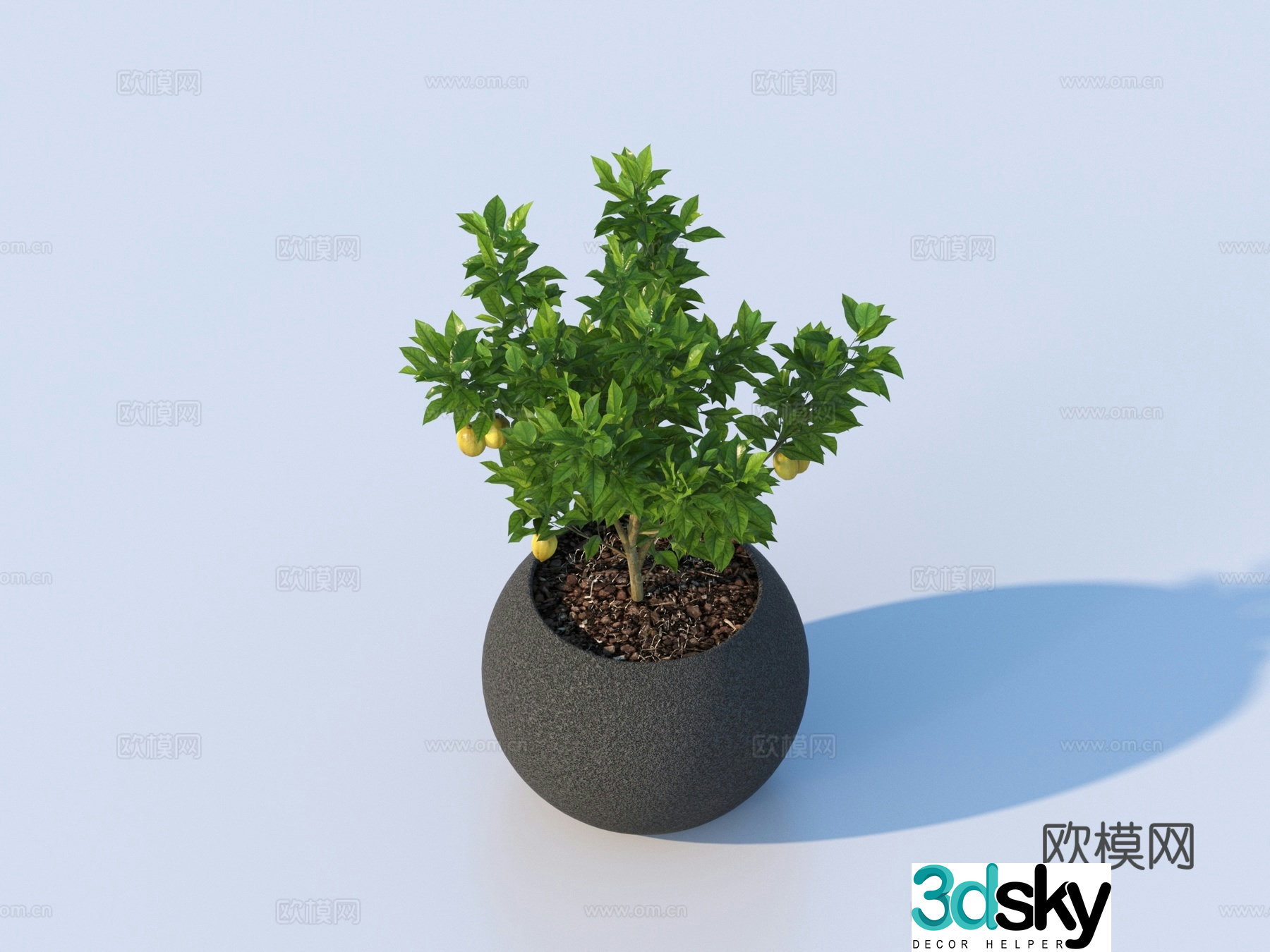 flowerpot potted plant green plant plant 3d model