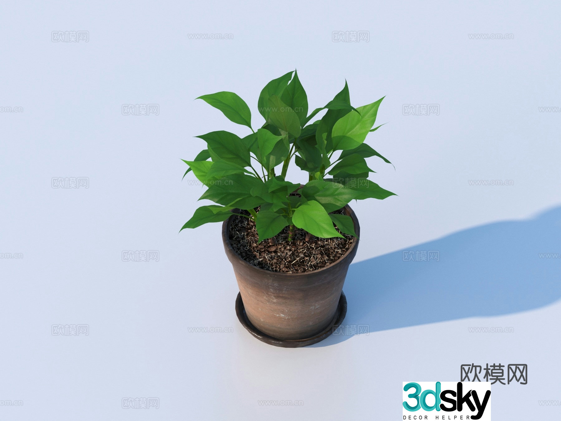 flowerpot potted plant green plant plant 3d model