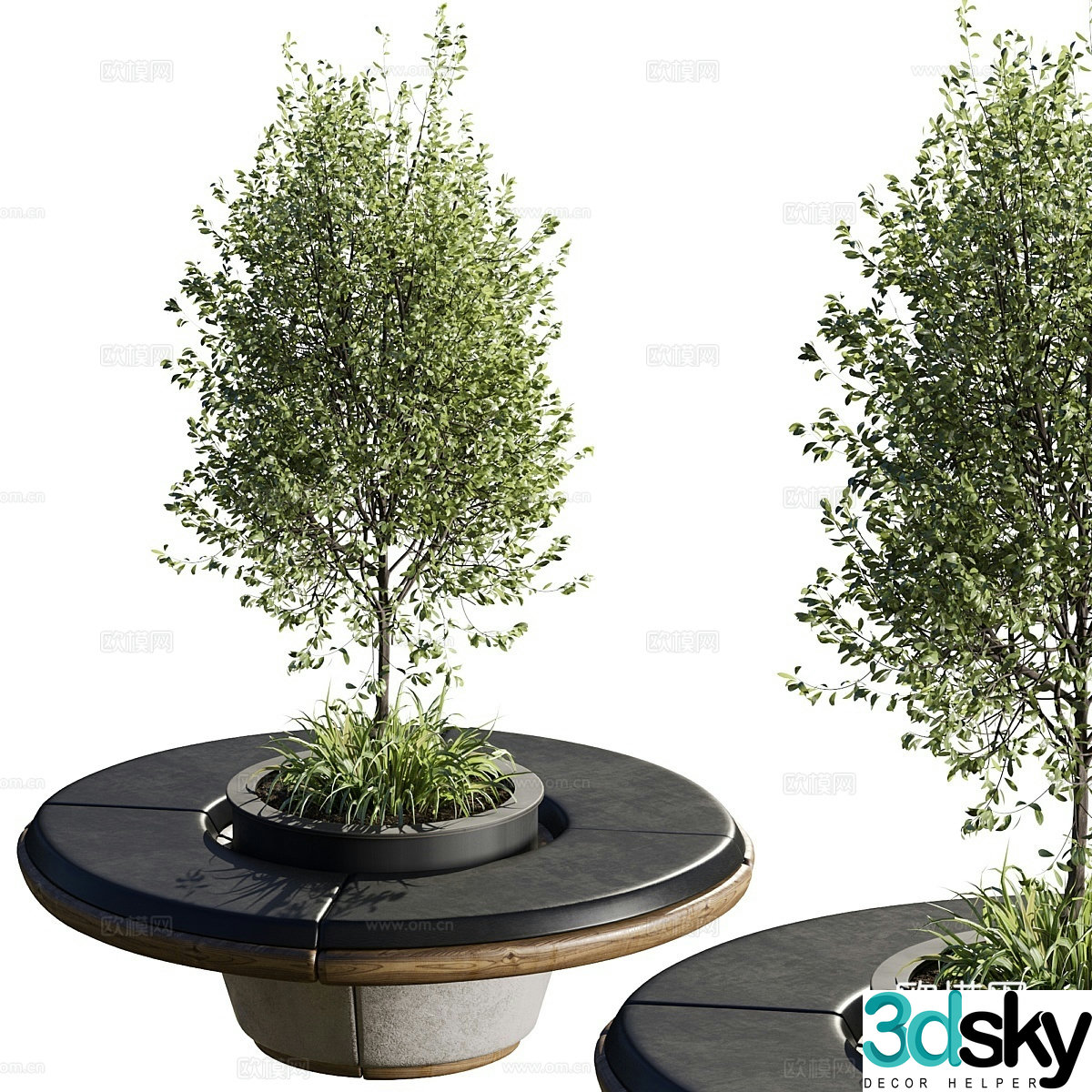 Modern outdoor chairs tree pool chairs courtyard green plants 3D model