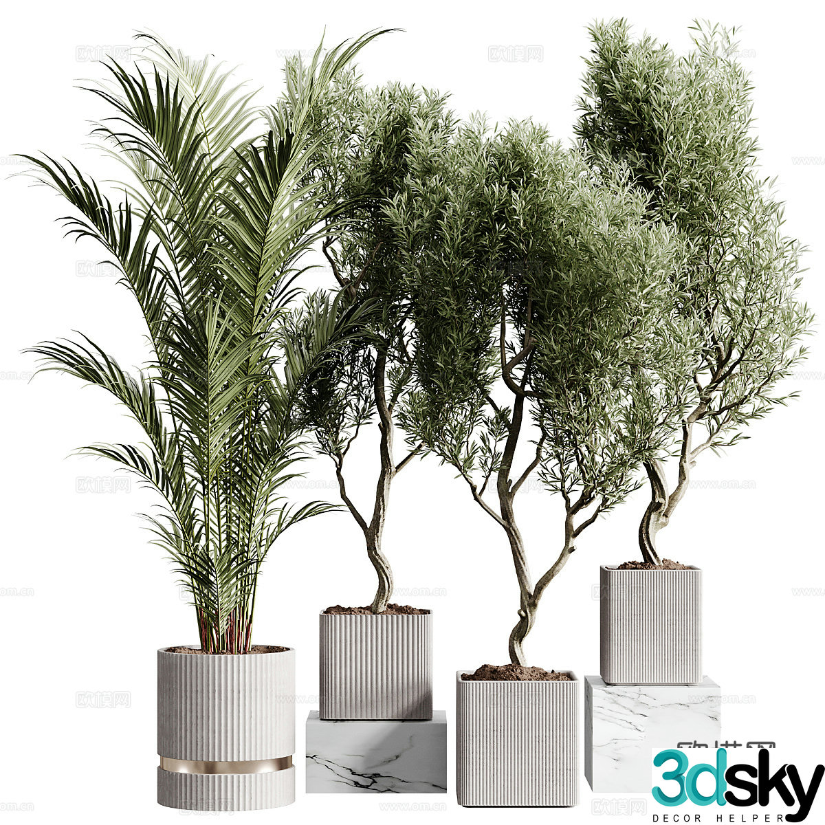 Modern bonsai bonsai 3d model