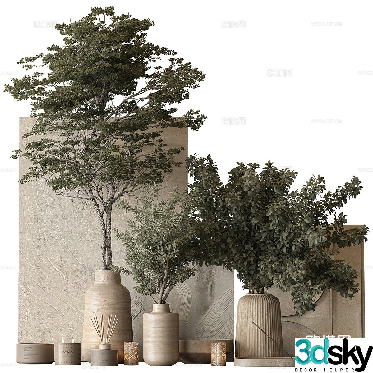 Green plant bonsai potted plant 3d model