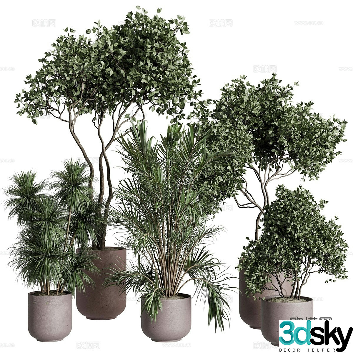 New Chinese style bonsai bonsai 3d model