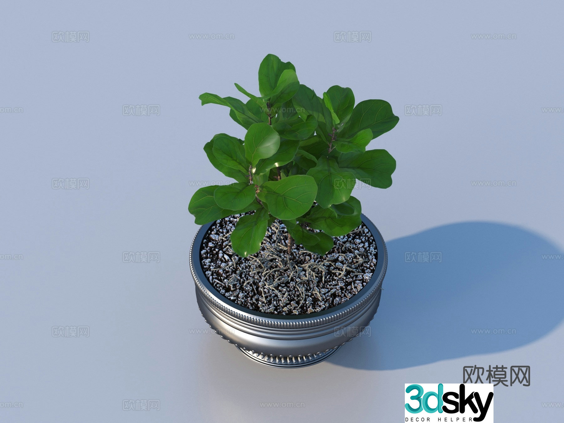flowerpot potted plant green plant plant 3d model
