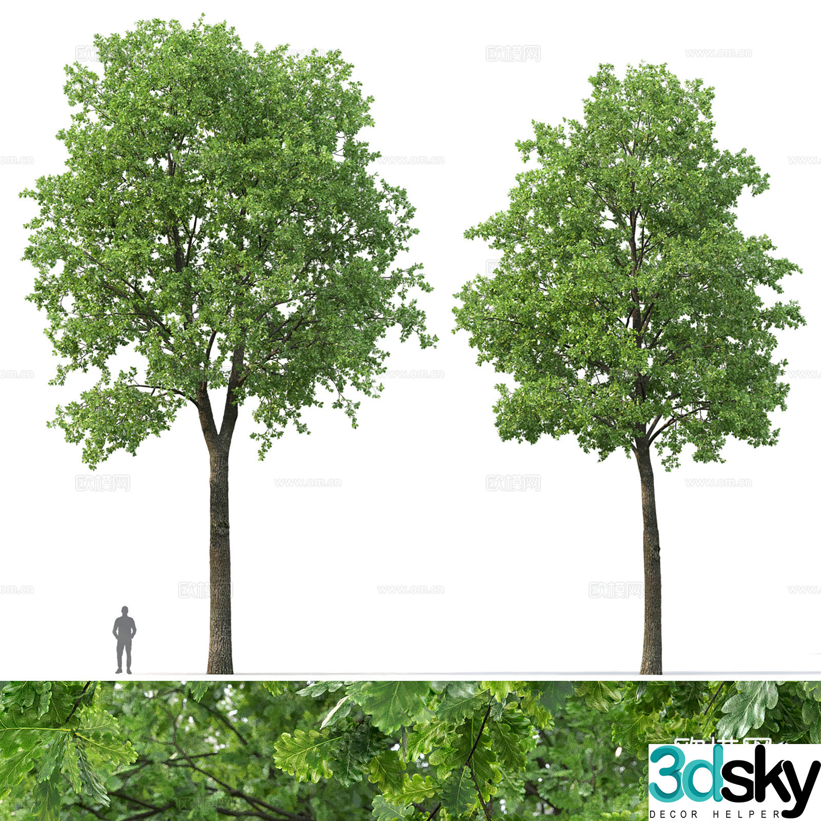 Oak Landscape Tree 3d model