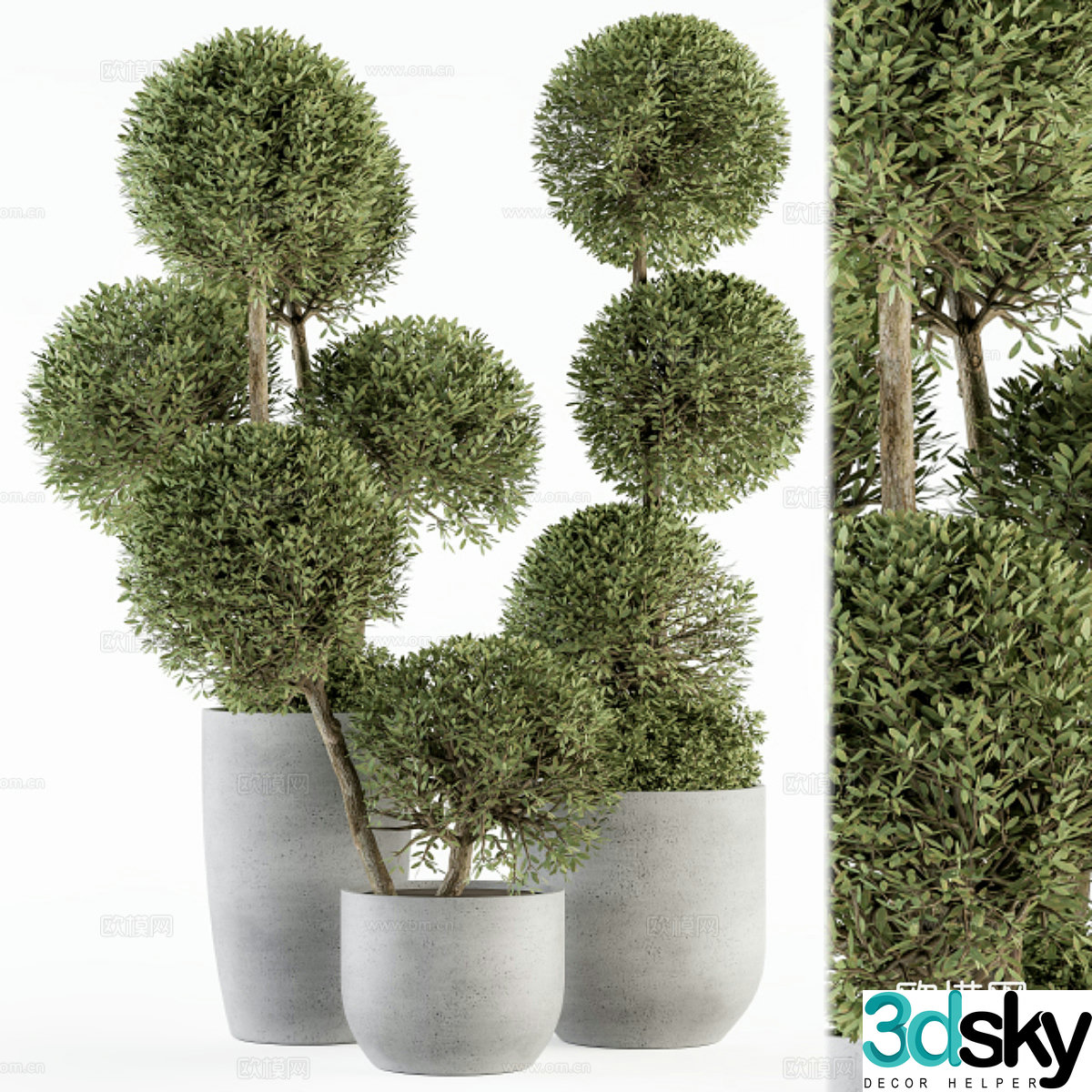 Green plant potted 3D model