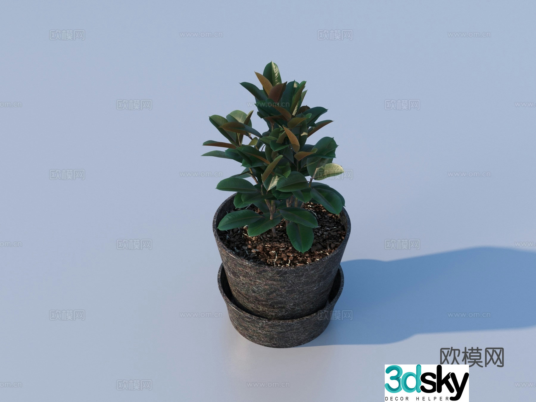 flowerpot potted plant green plant plant 3d model
