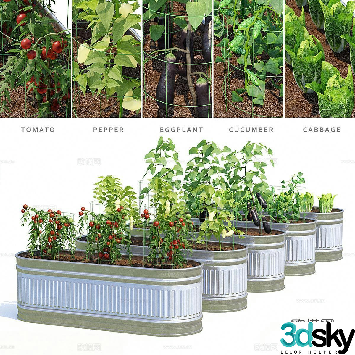Modern vegetable garden plants vegetable farming crops 3d model