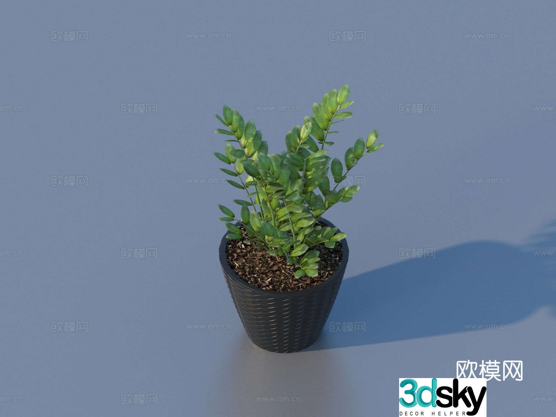 flowerpot potted plant green plant plant 3d model