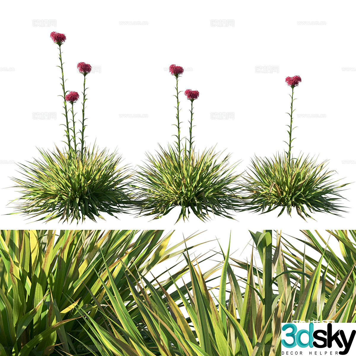 Flowers and grass 3d model