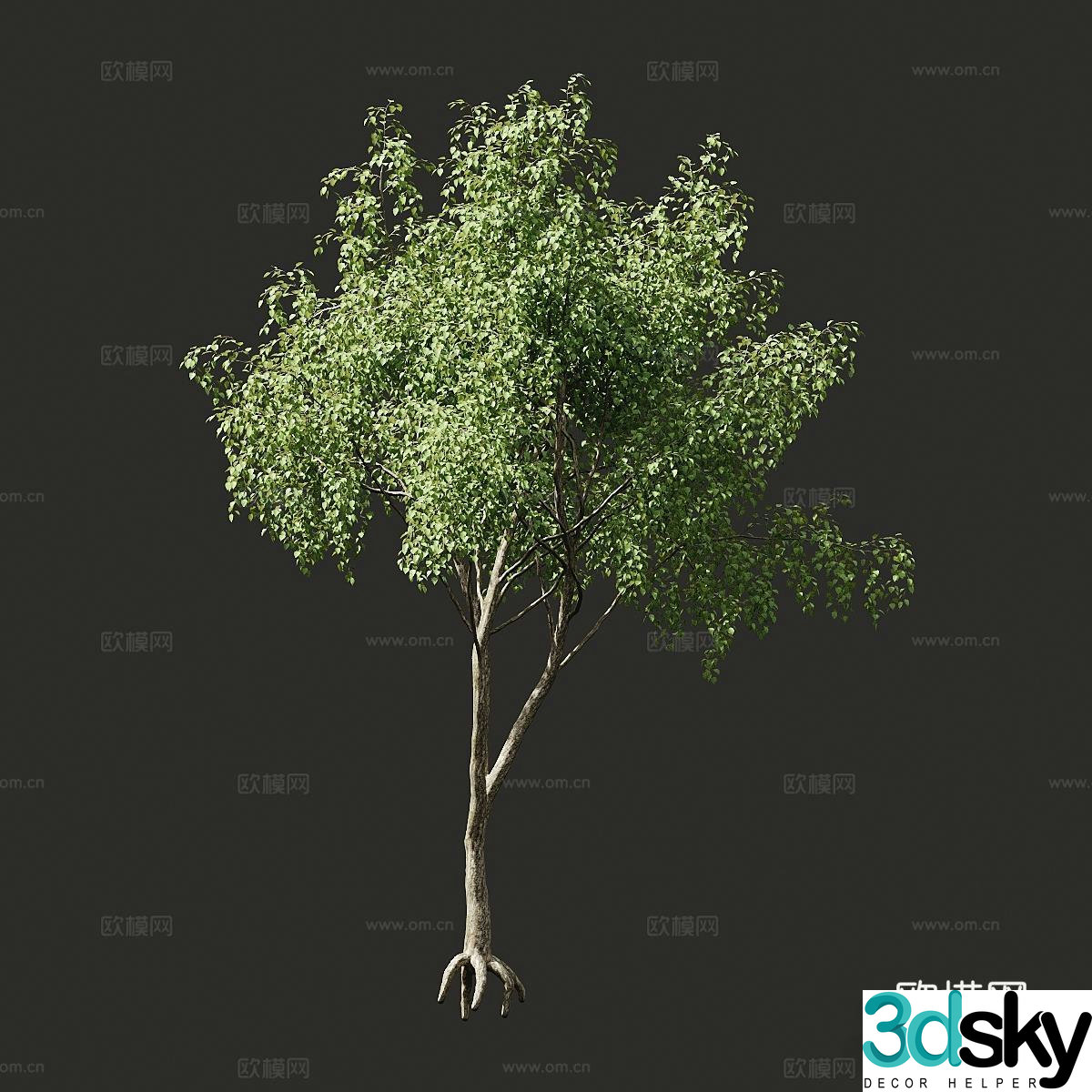 Modern landscape tree road tree street tree arbor big tree 3d model