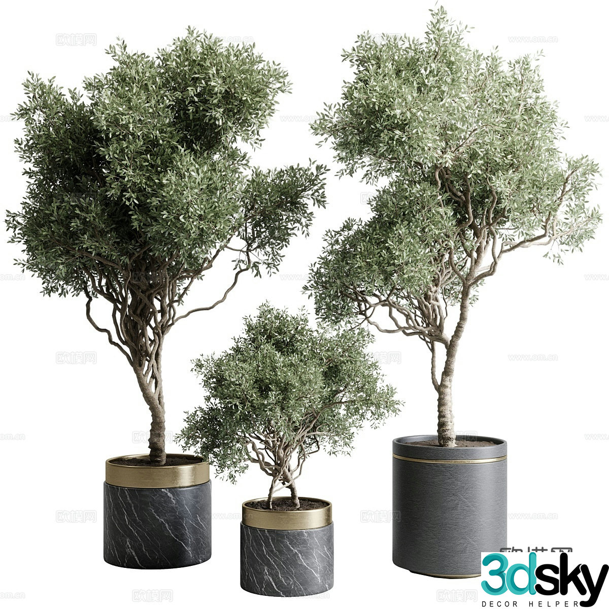 Potted green plants 3D model