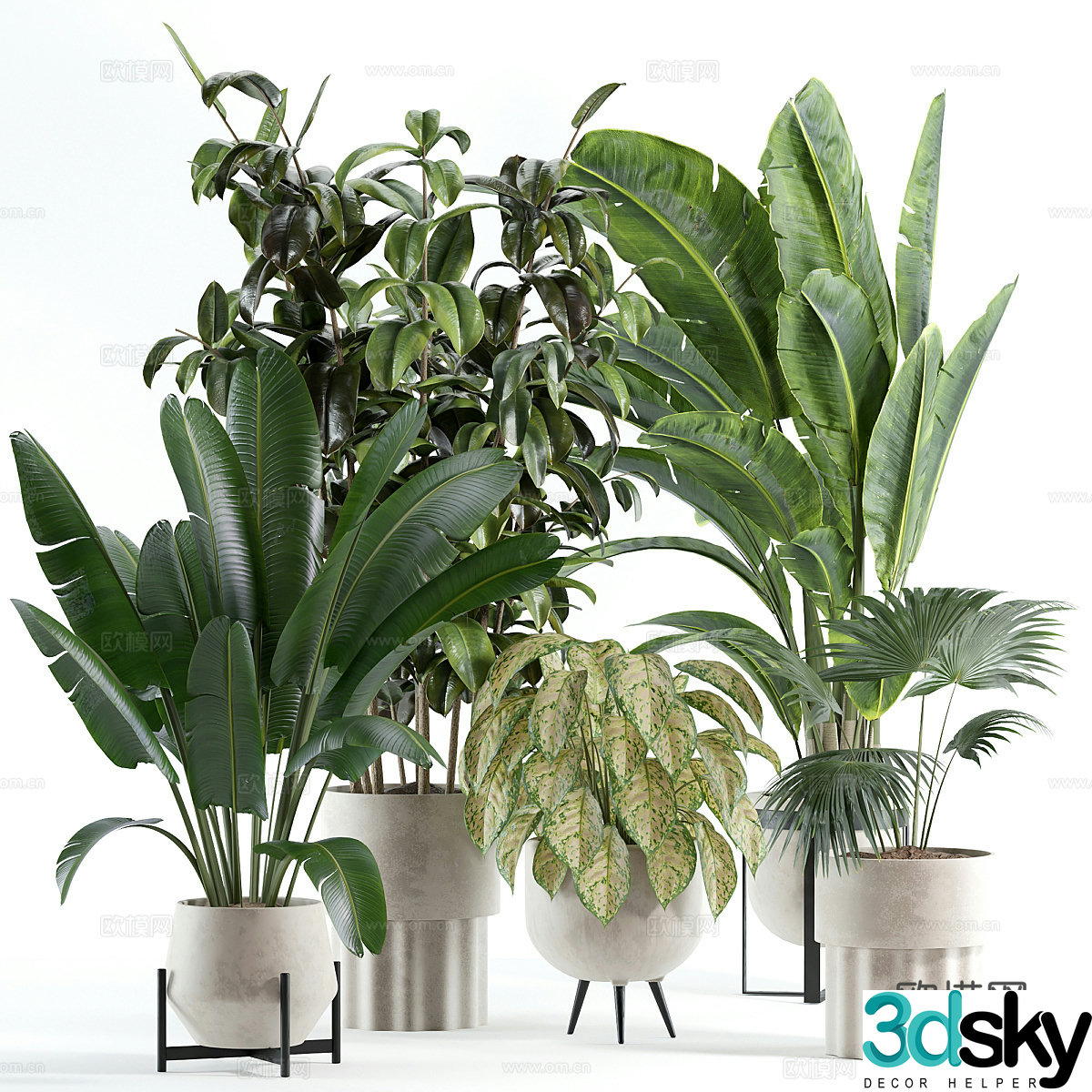 Modern green plant potted 3d model