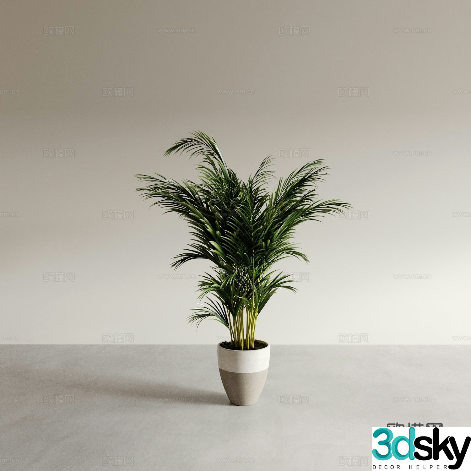 Bonsai potted plants indoor green plants plant ornaments 3d model