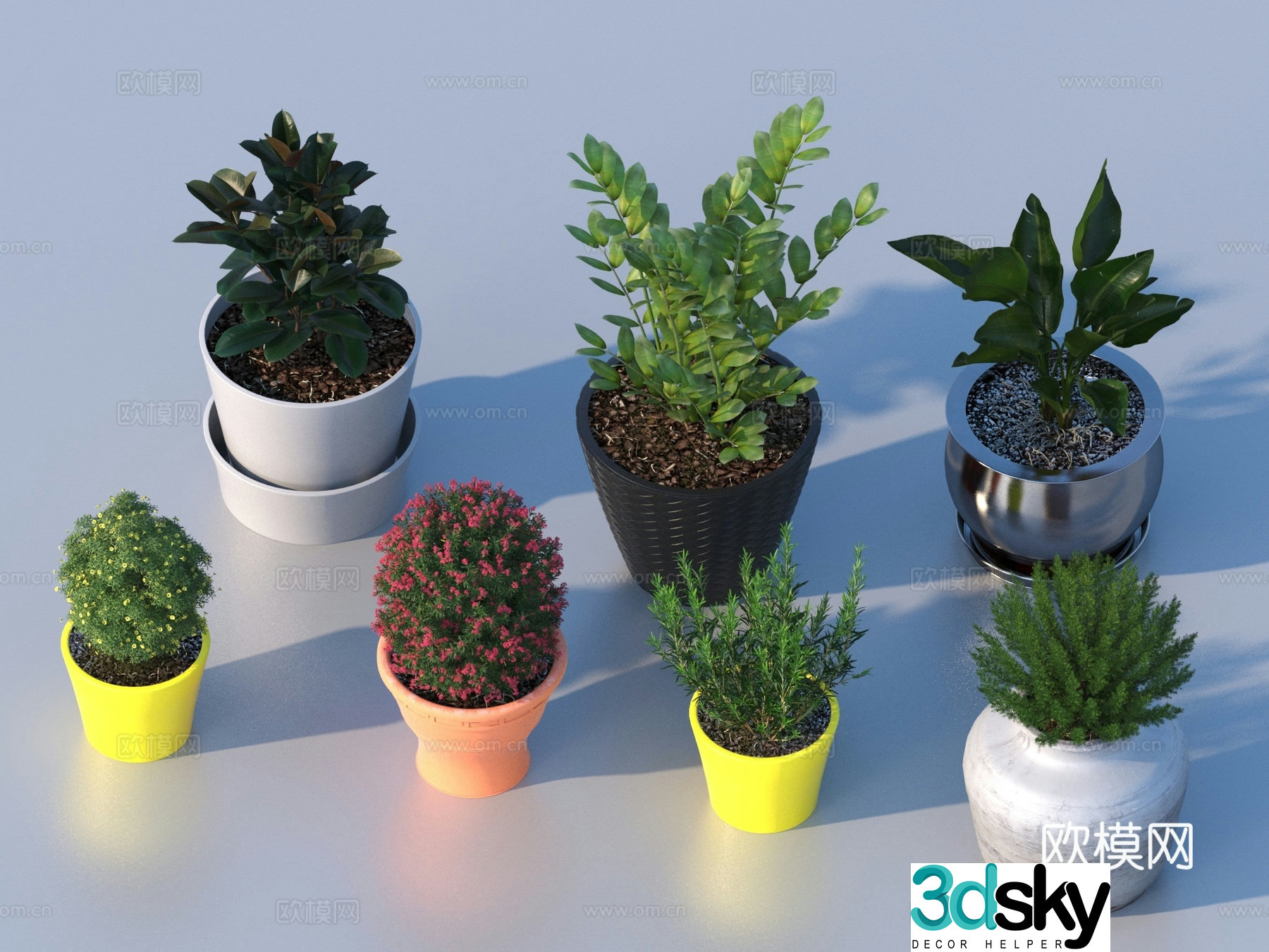 flowerpot potted plant green plant plant 3d model