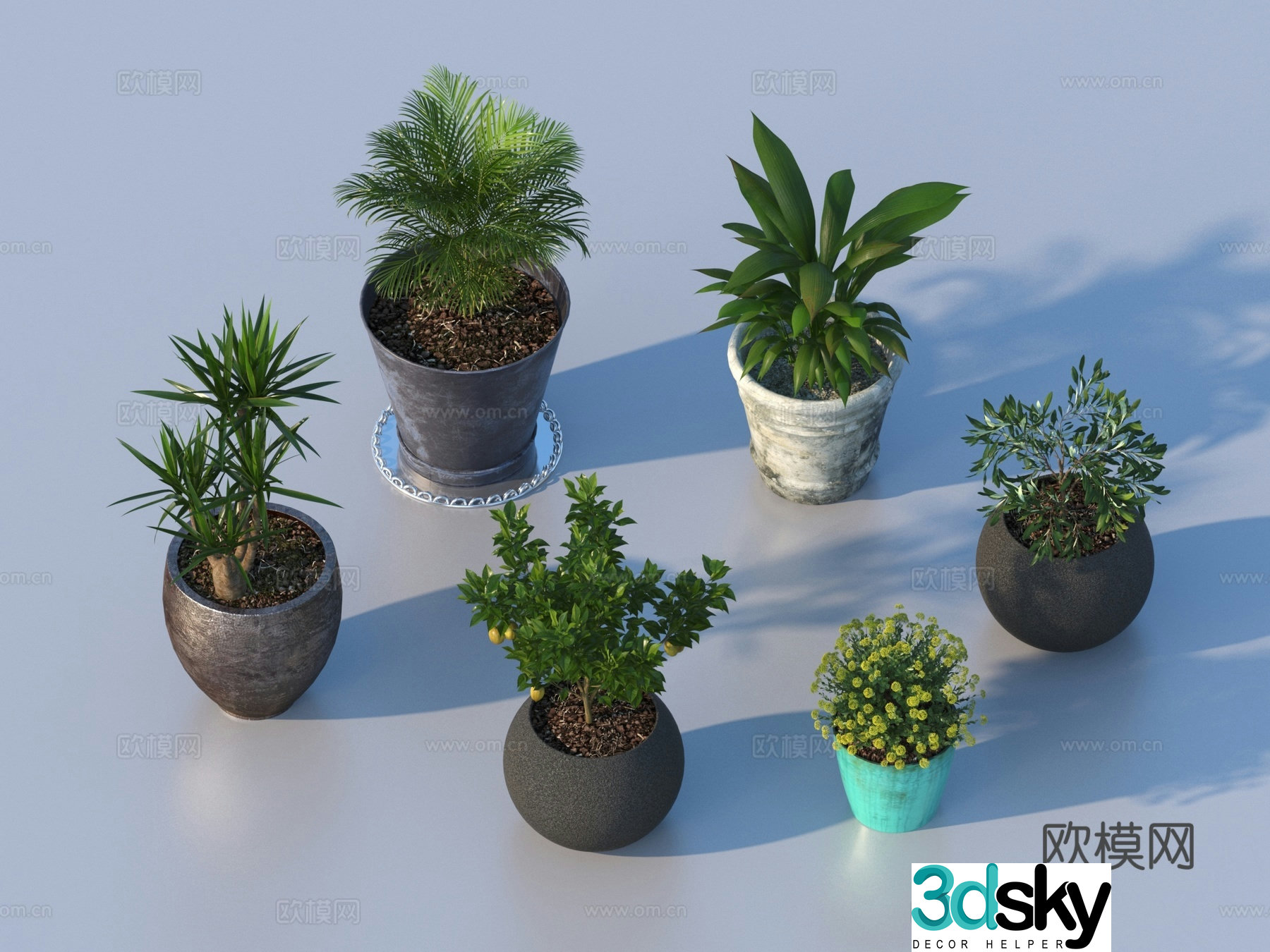 flowerpot potted plant green plant plant 3d model