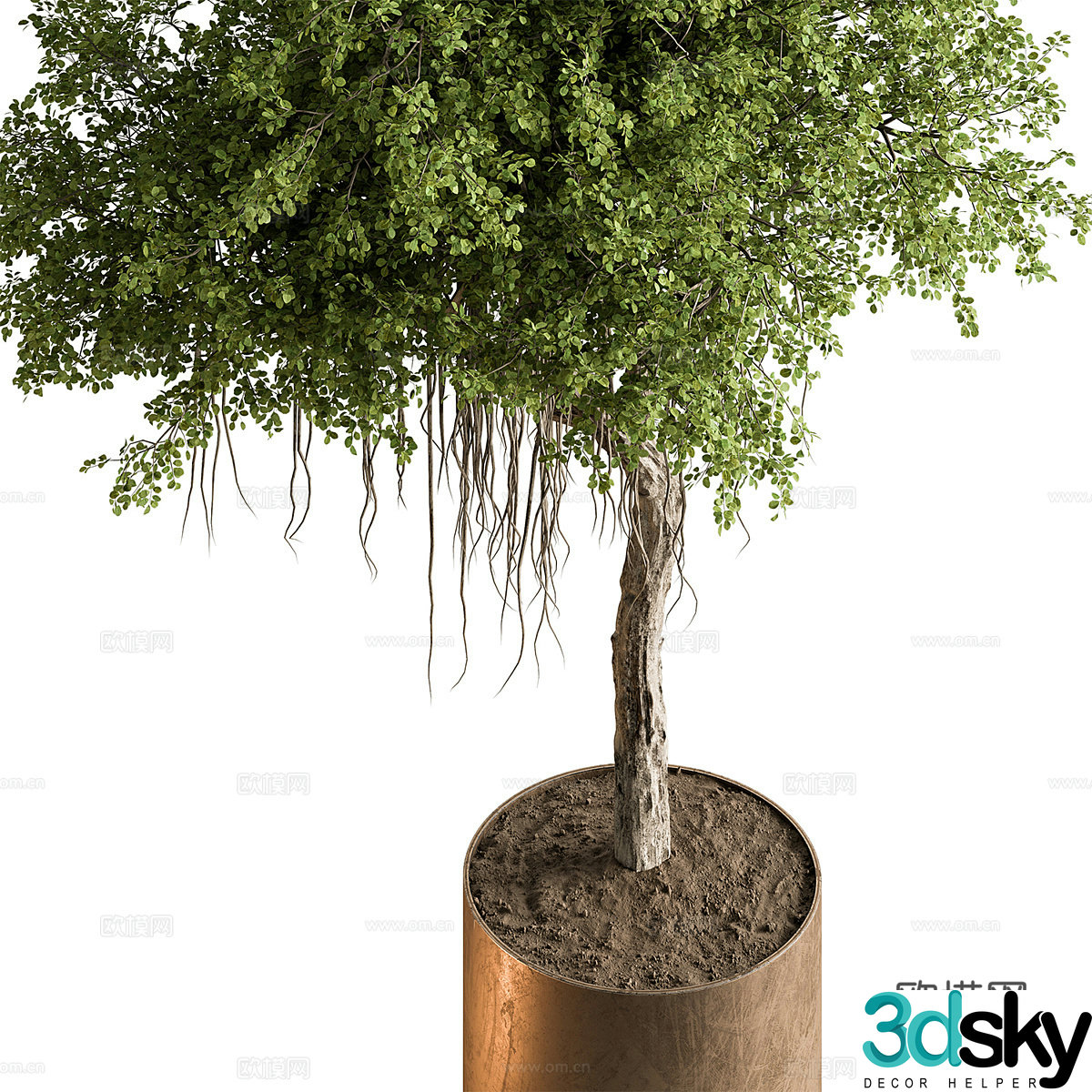 Bonsai bonsai 3d model