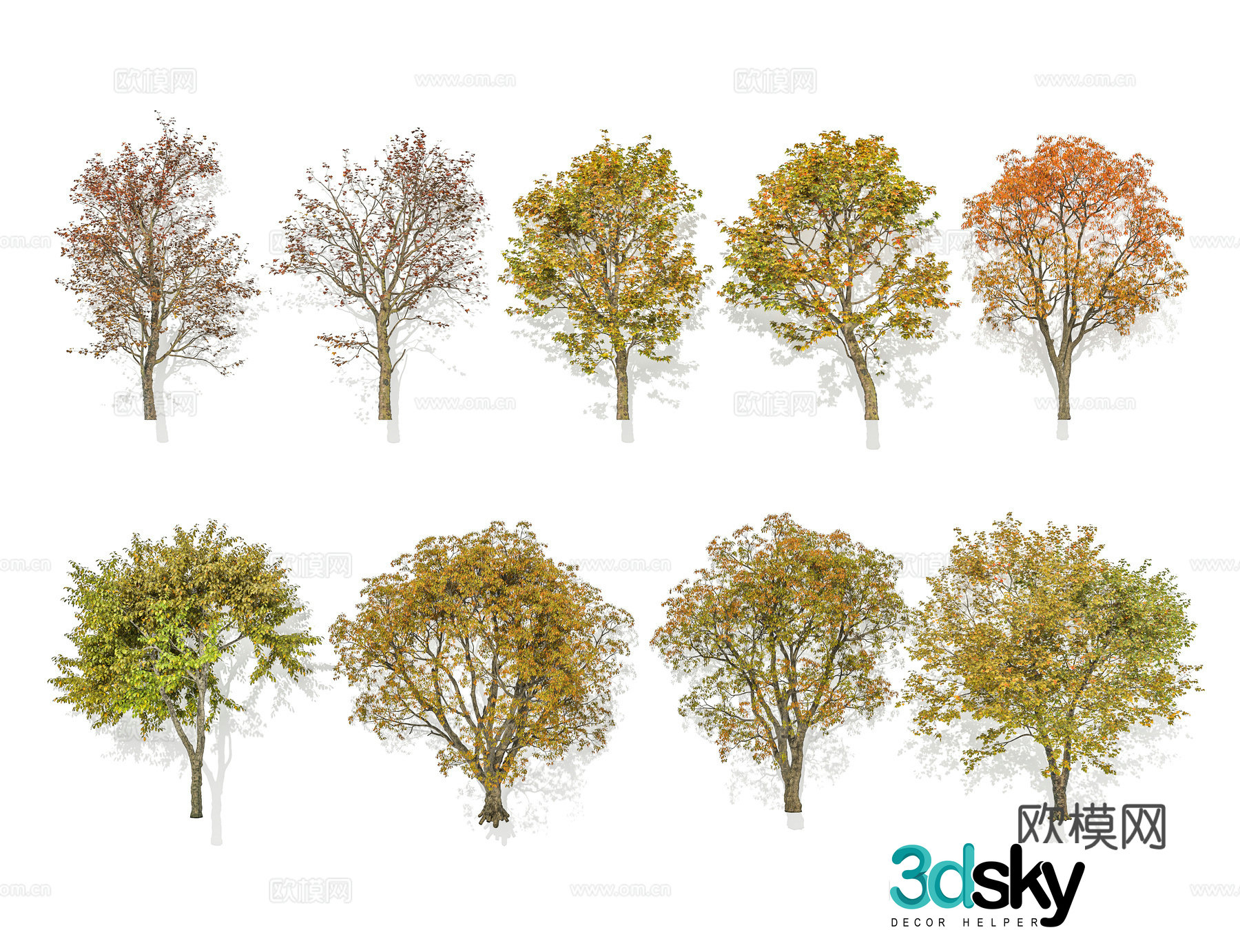 Modern street tree landscape tree autumn tree arbor camphor tree courtyard tree 3d model