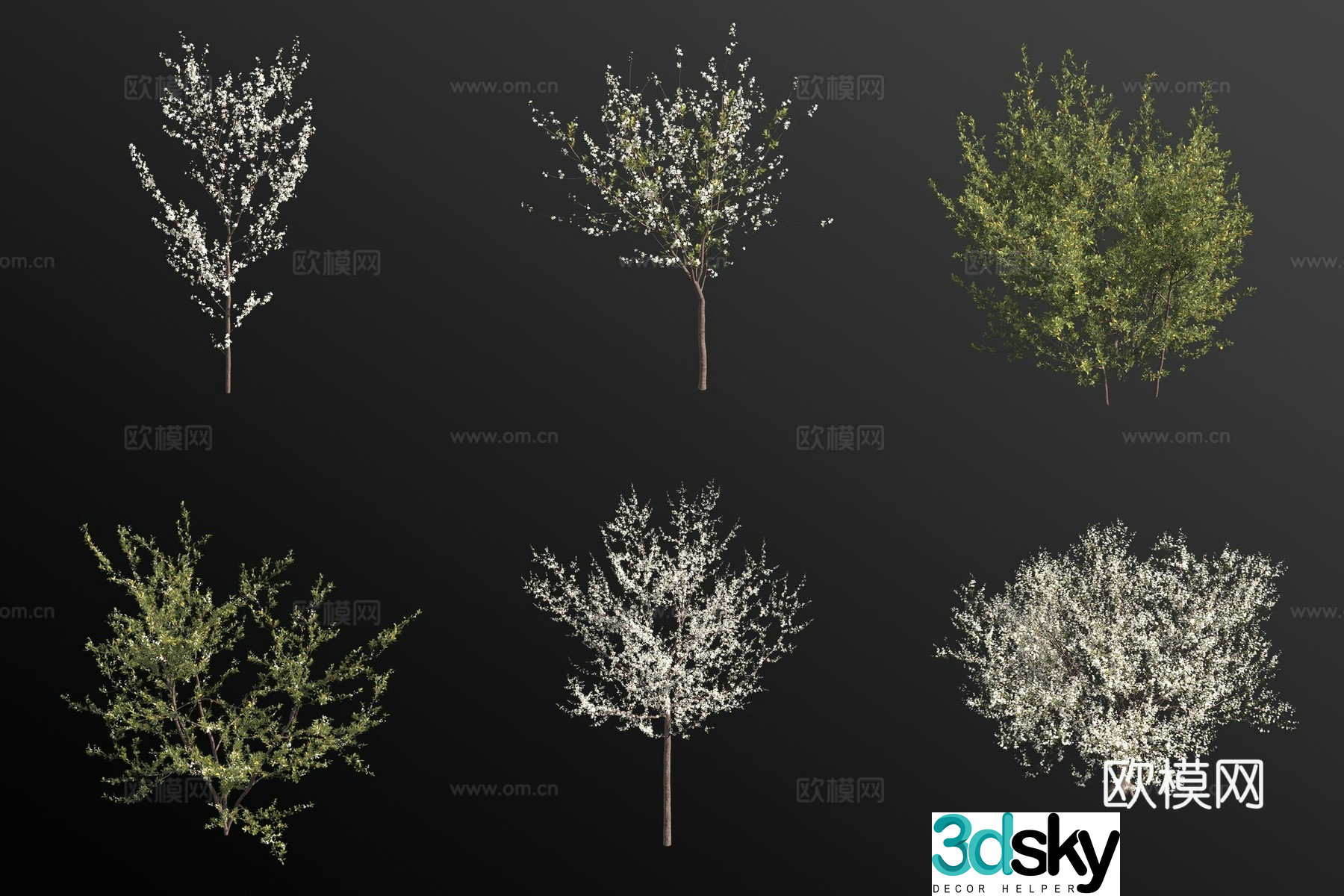 blackthorn shrub flower tree 3d model