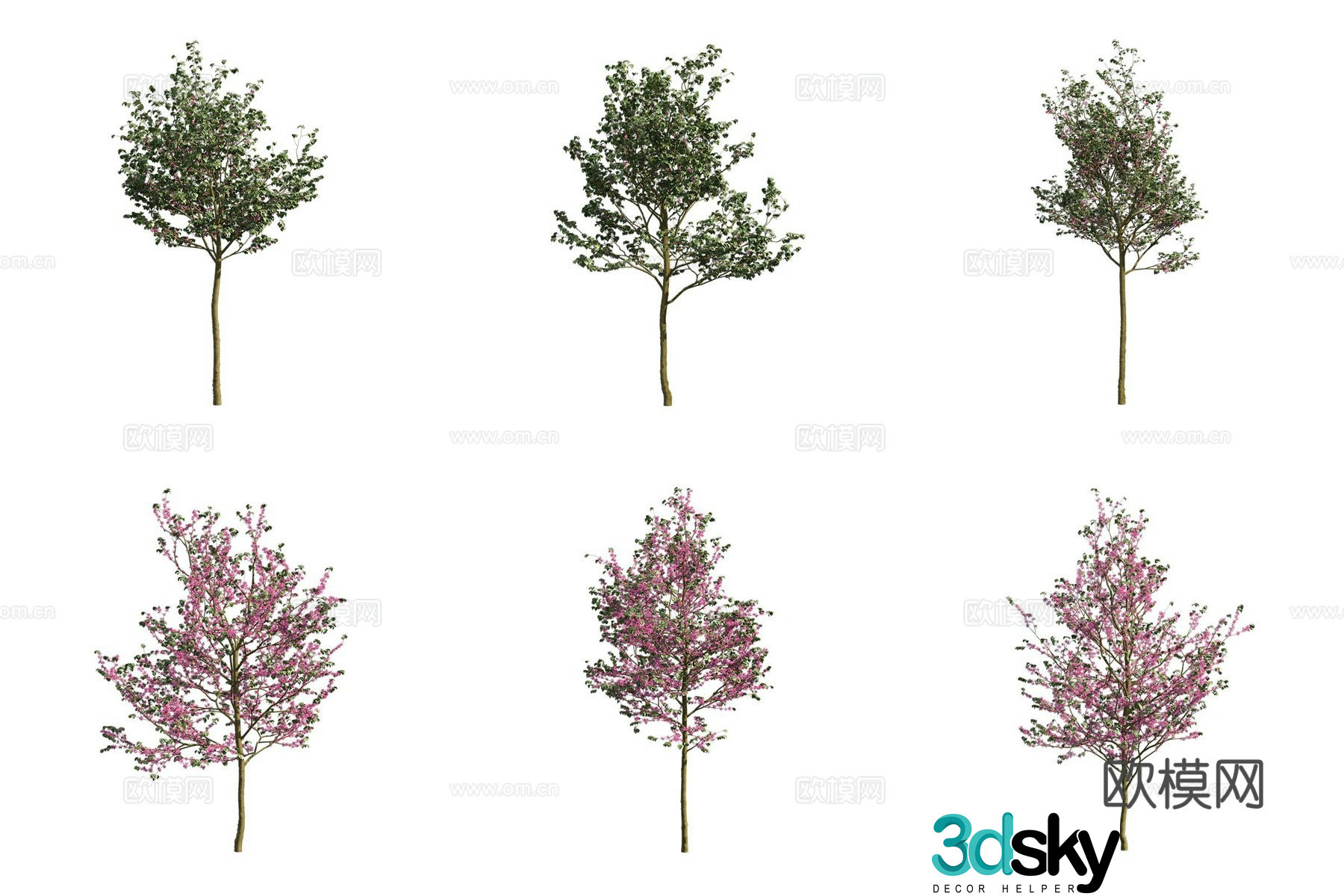 Southern European redbud tree landscape tree 3d model