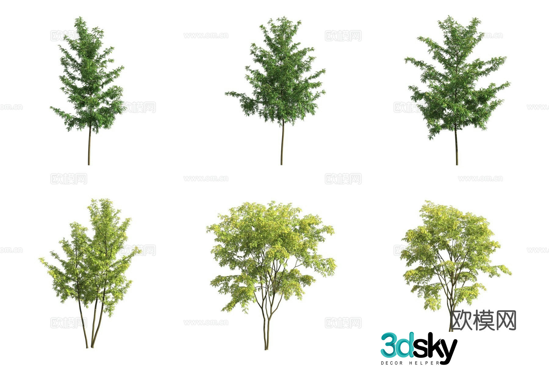 American honey locust landscape tree 3d model