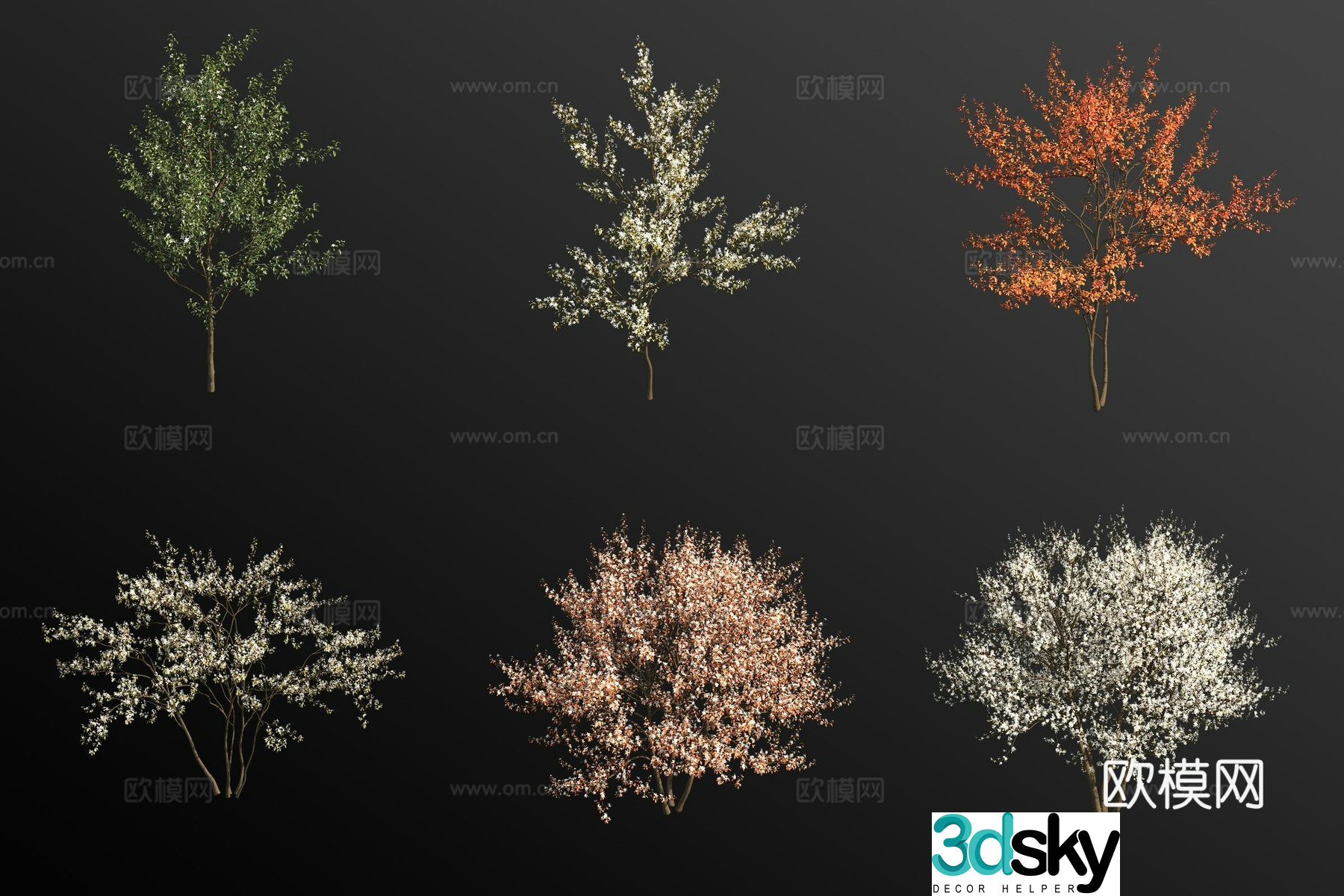 Double elm leaf plum tree 3d model