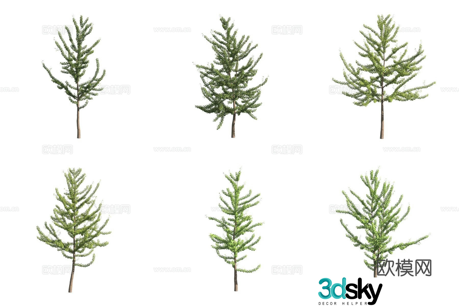Ginkgo landscape tree 3d model