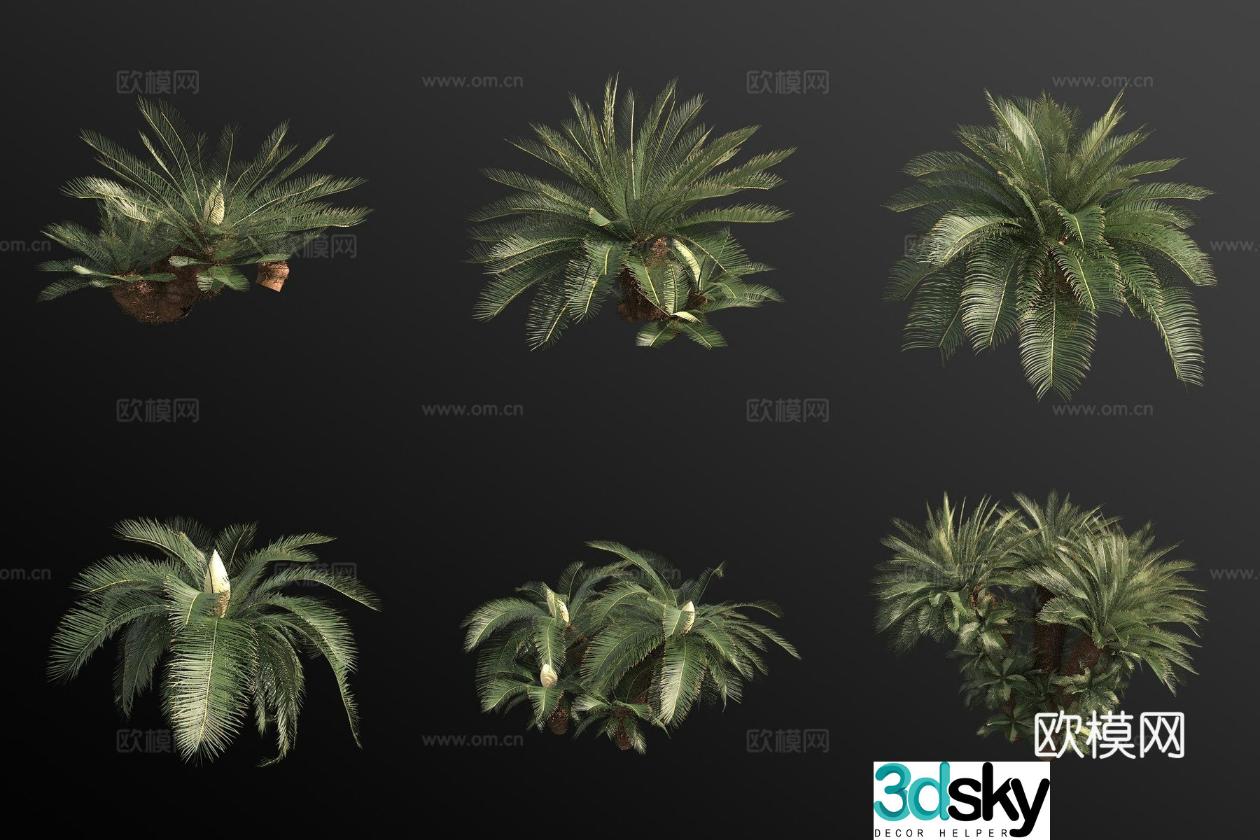 3d model of iron tree flower and banana shrub
