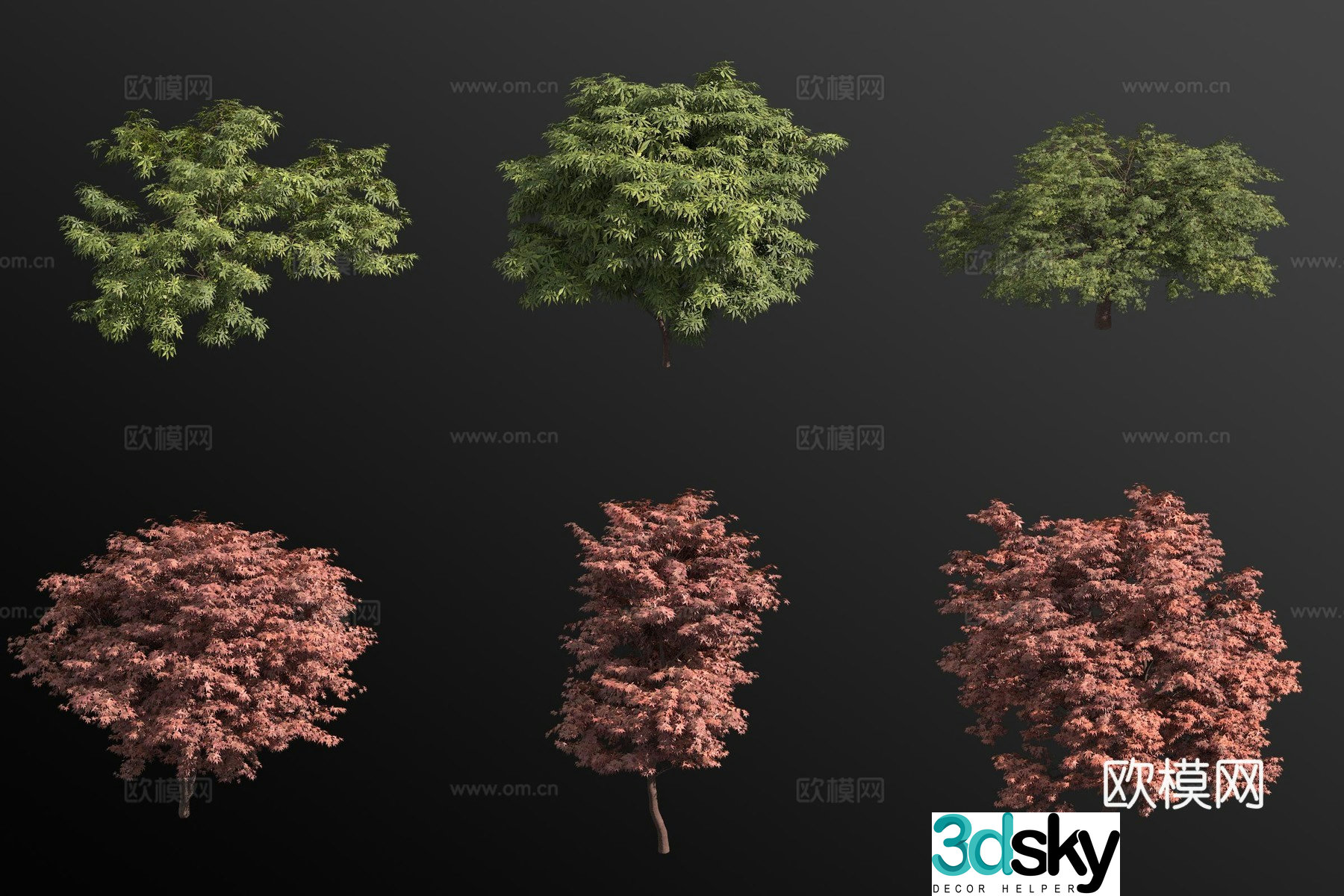 Acer red maple landscape tree 3d model
