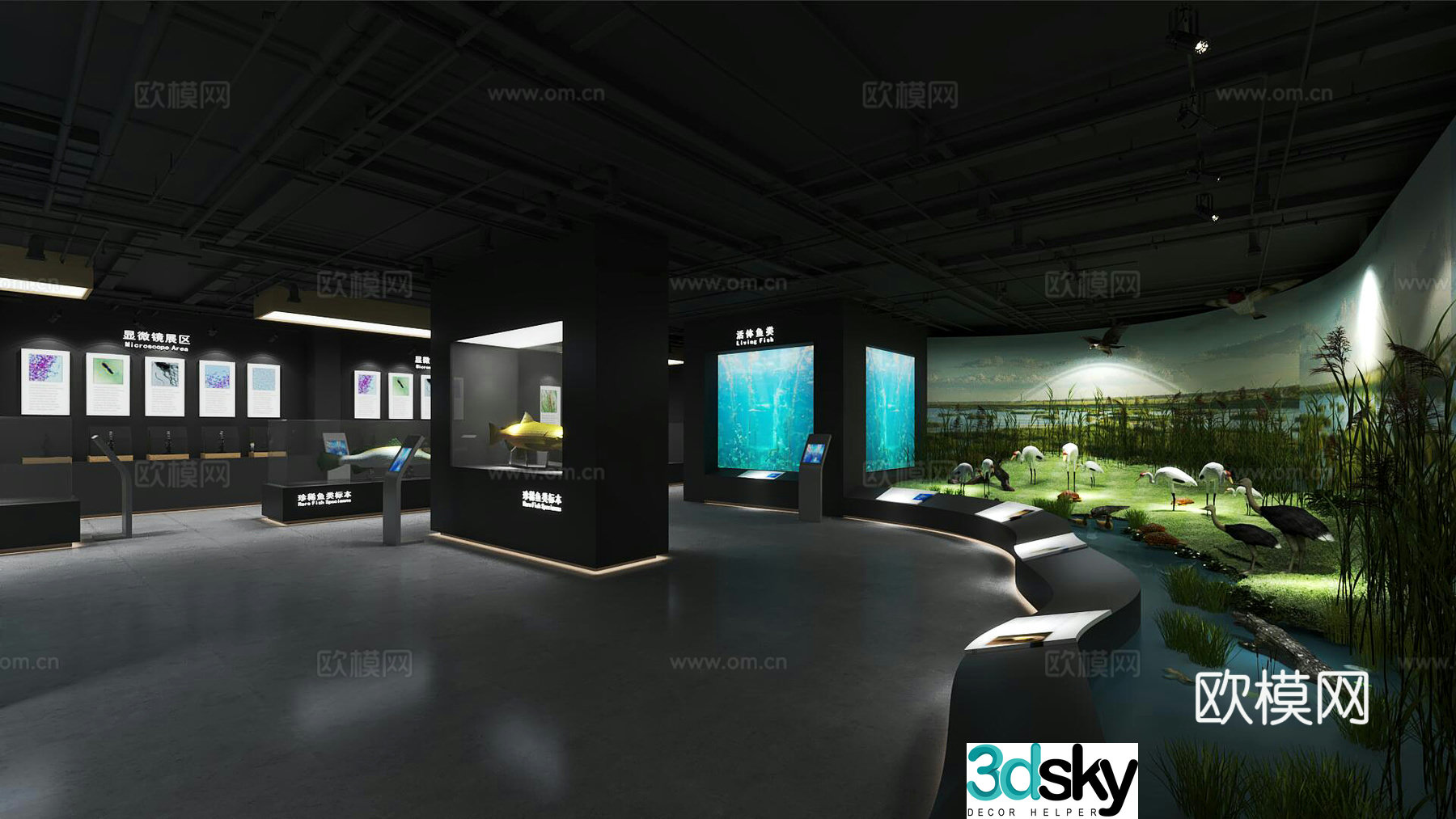Wildlife Museum 3d model