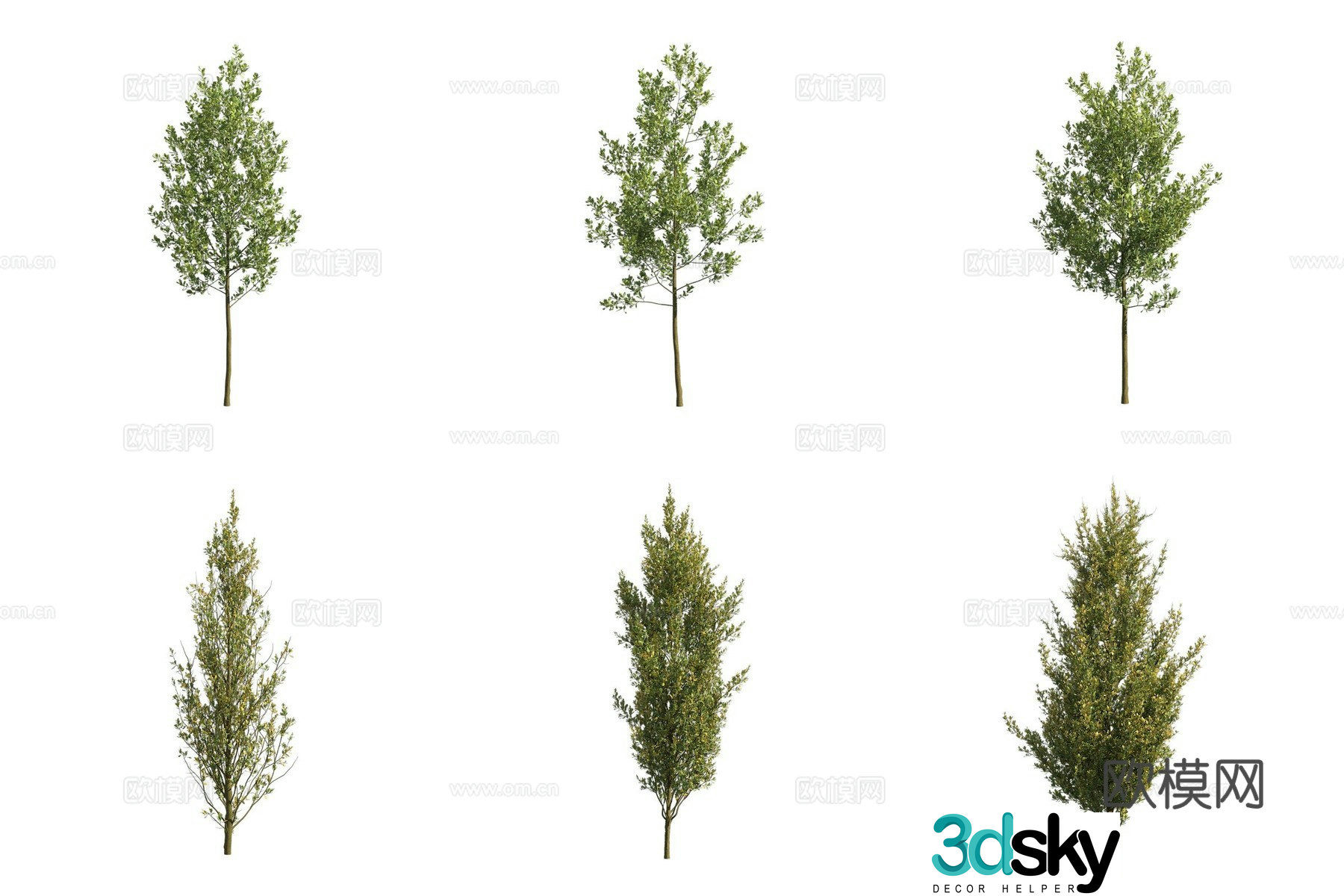 Summer oak landscape tree 3d model