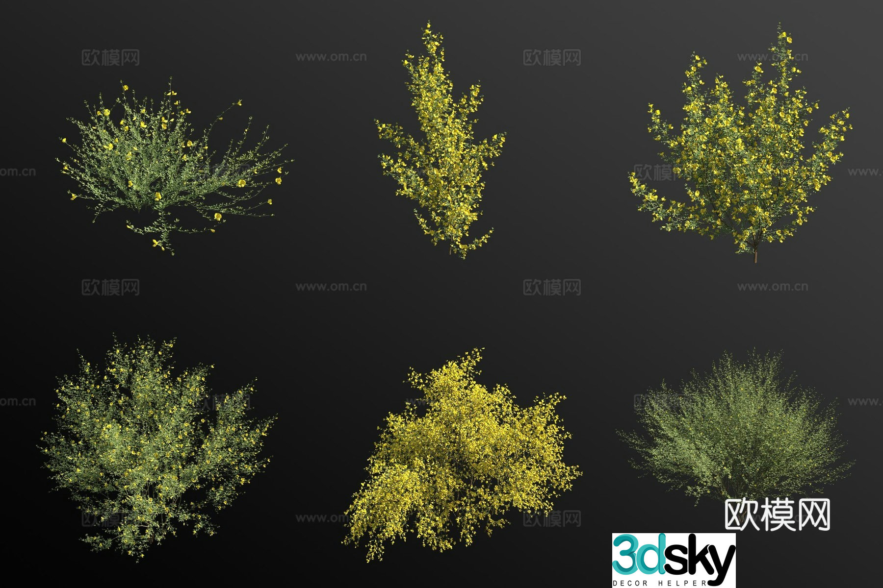 Gorse bush 3d model
