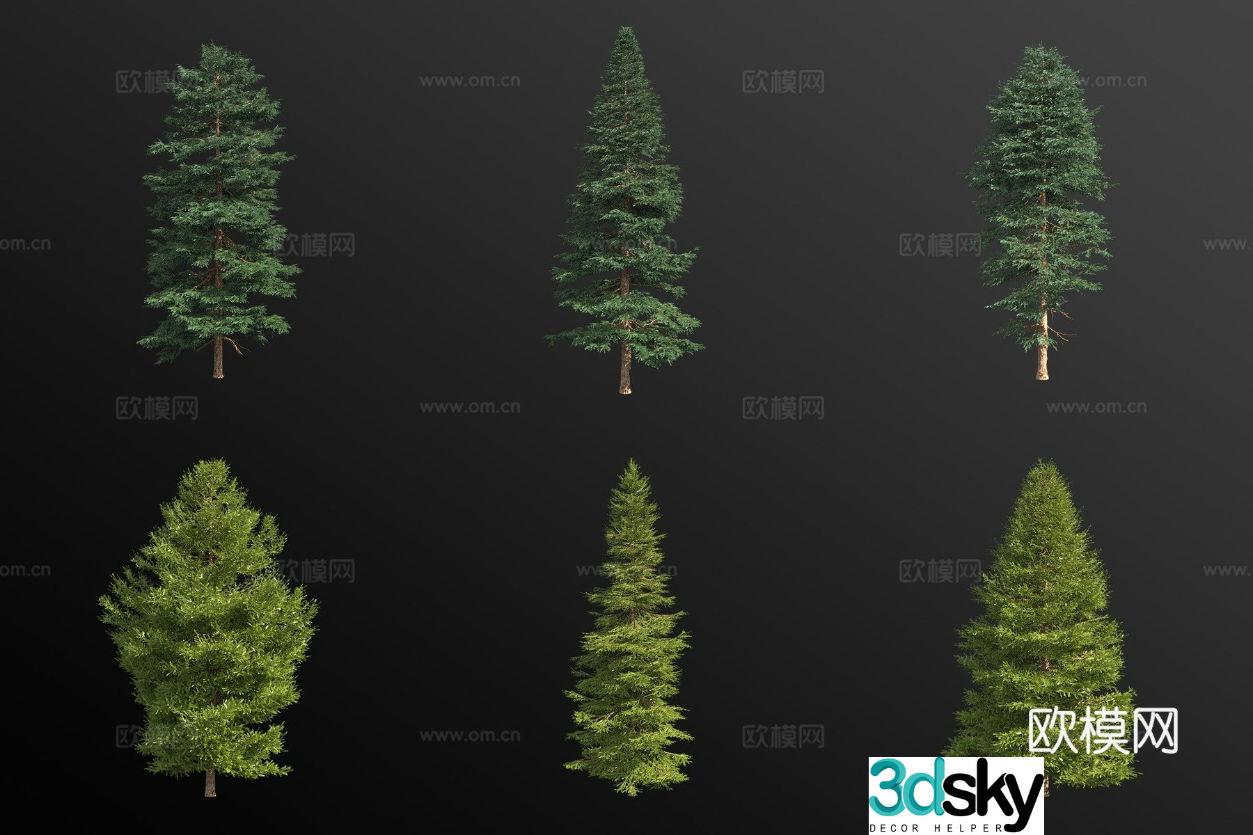 red spruce landscape tree 3d model