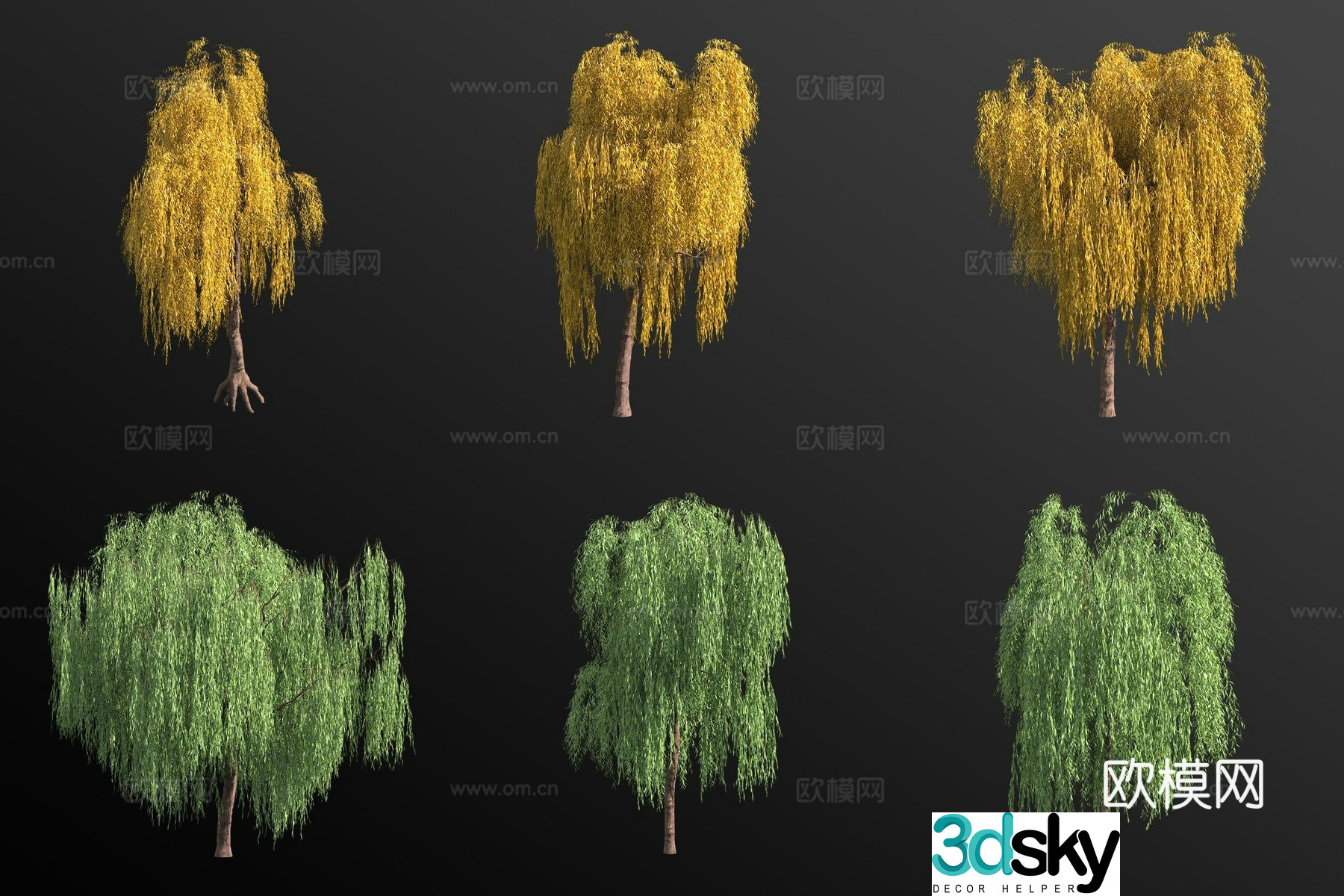 Weeping willow tree 3d model